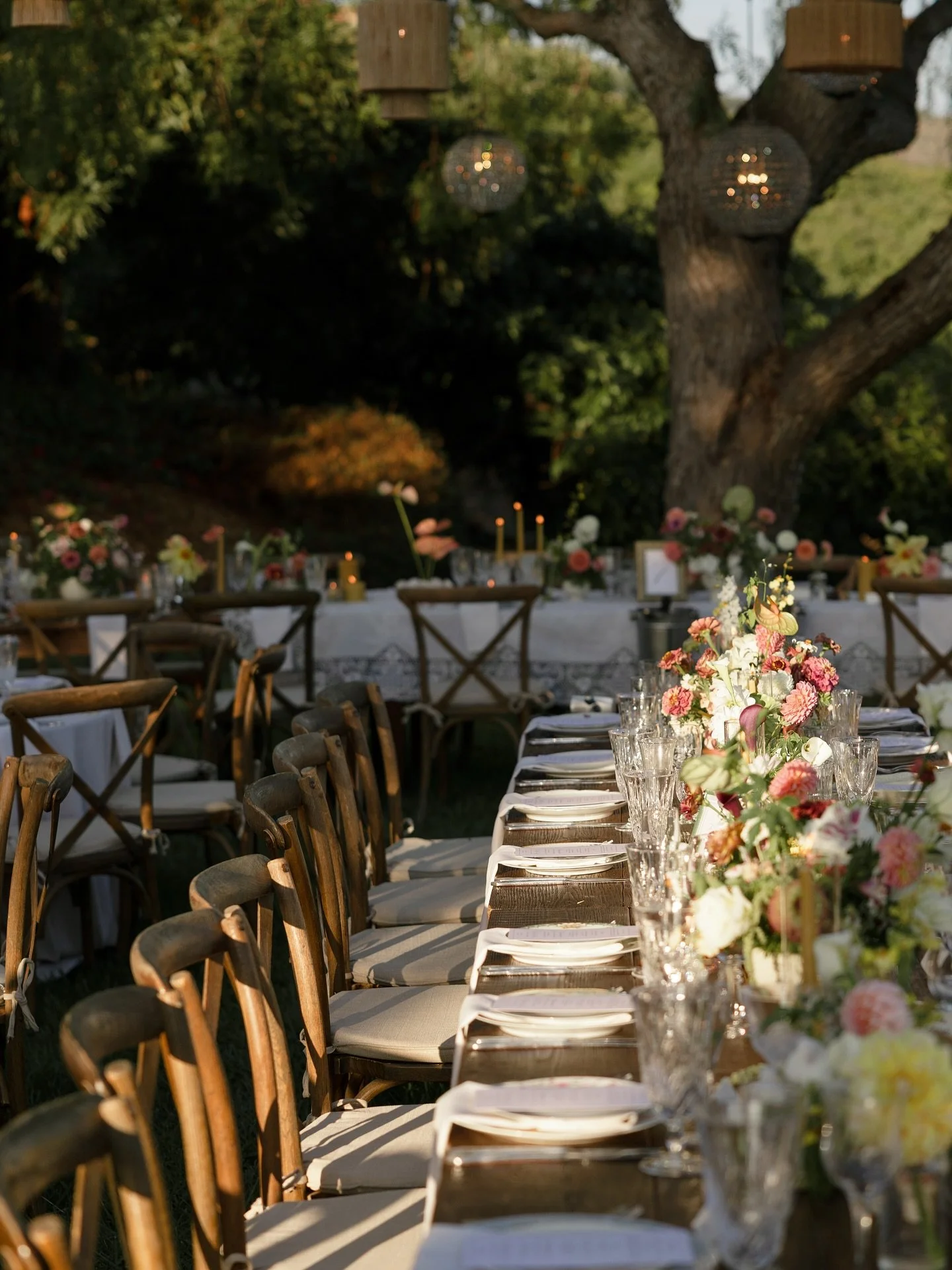 The details for K + T&rsquo;s reception were 😍 the sunlight, colorful arrangements and place settings were absolute perfection. 

Planner @santabarbaraelopement 
Florals @mackenzienancarrowdesigns 
Signage @laurenfarrah 
Rentals @thetentmerchant 
Ph