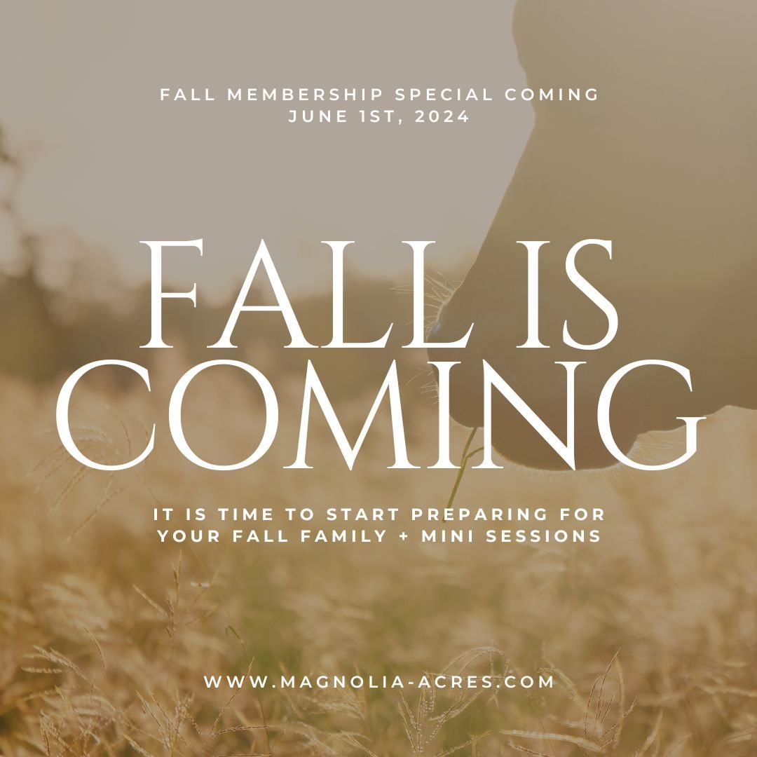 🍁🍂 PHOTOGRAPHERS....FALL IS COMING! 🍁🍂

It's crazy to be already talking about Fall 2024. We have already started thinkin about all the fun creative sets we will be creating for you and your clients! Because of this, we wanted to start sharing wh
