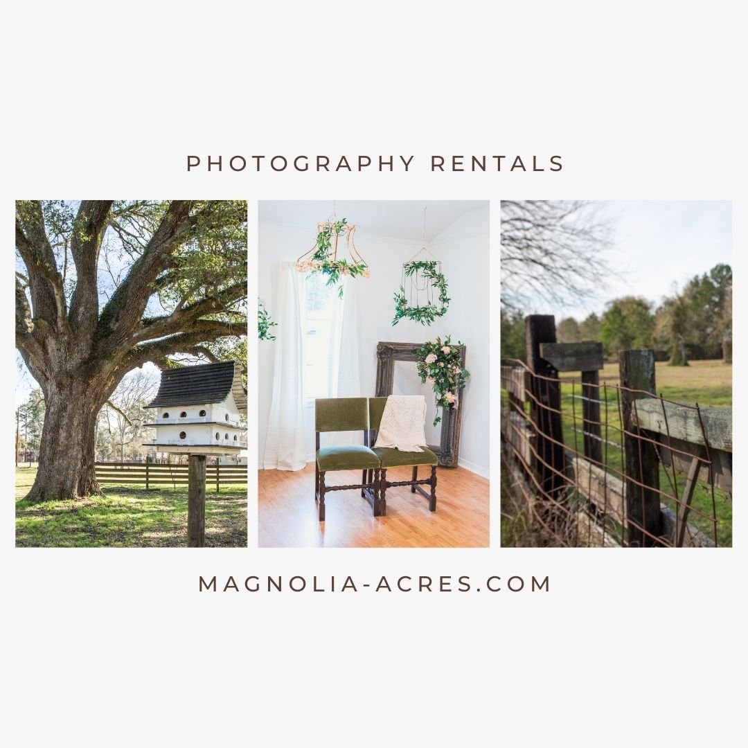 Elevate Your Photography Experience: Why Choose Our Venue? 🌿🏡

Looking for the perfect backdrop to bring your creative vision to life? 

Look no further!

At Magnolia Acres, we offer more than just a space &ndash; we offer an experience. From our p