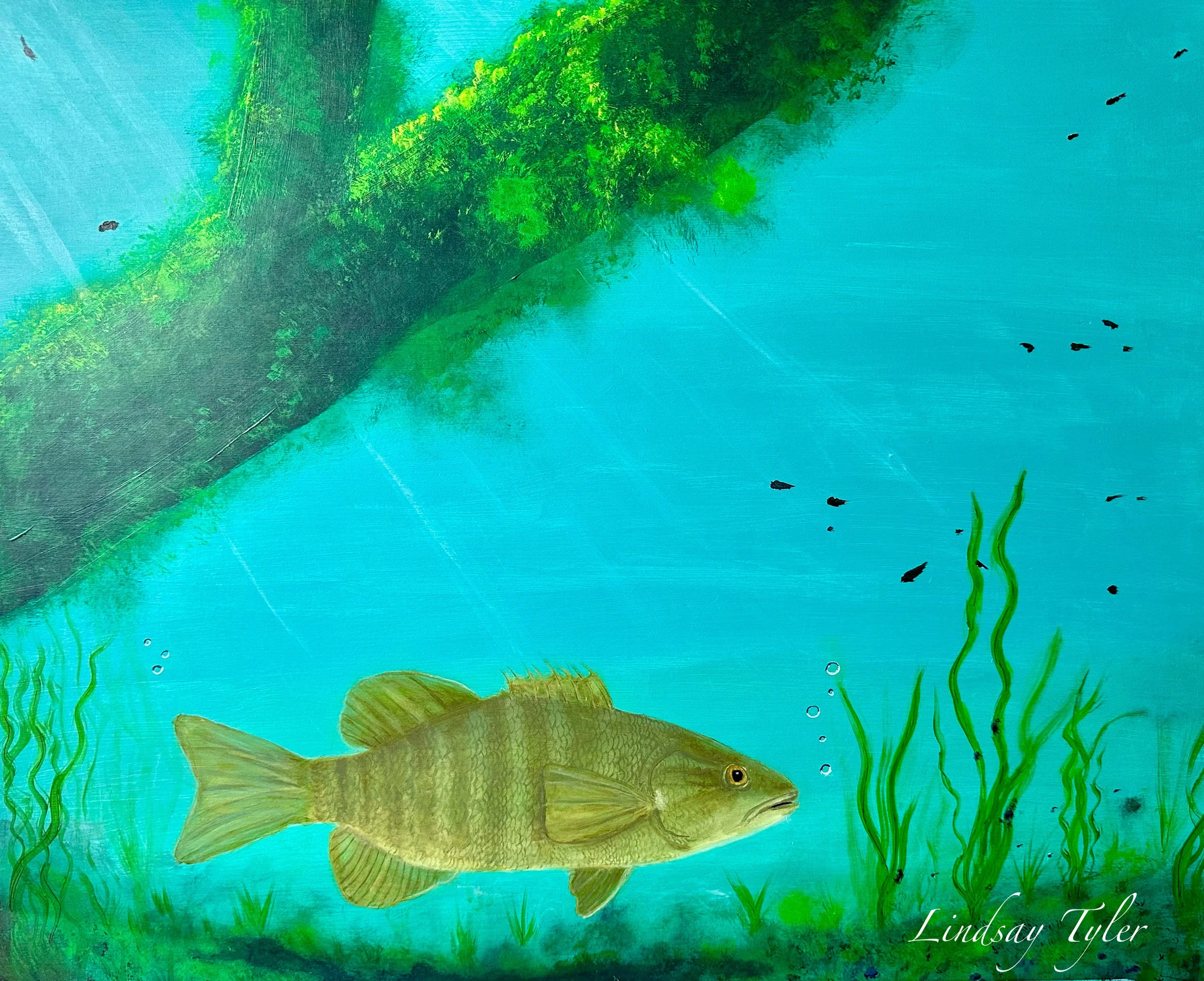 A painted underwater scene with a green fish swimming among plants, with a reflection of trees and a blue sky on the surface.