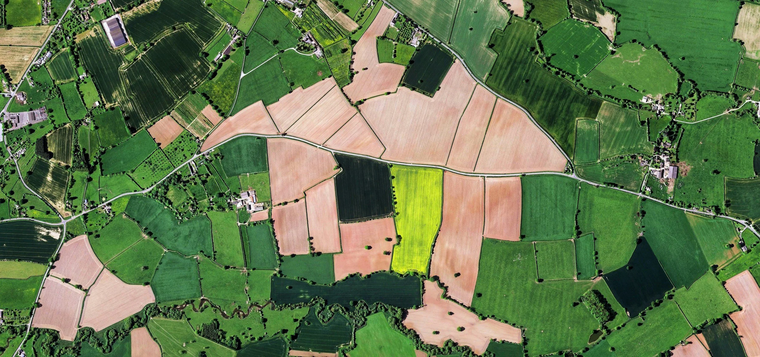 Aerial view of a patchwork of farmland with fields of green, yellow, and brown, divided by roads and dotted with small farm buildings and trees.
