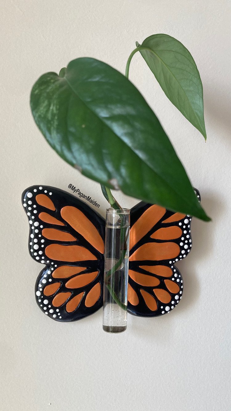 Two large plant leaves growing out of a mounted propagation station in the shape of a butterfly.