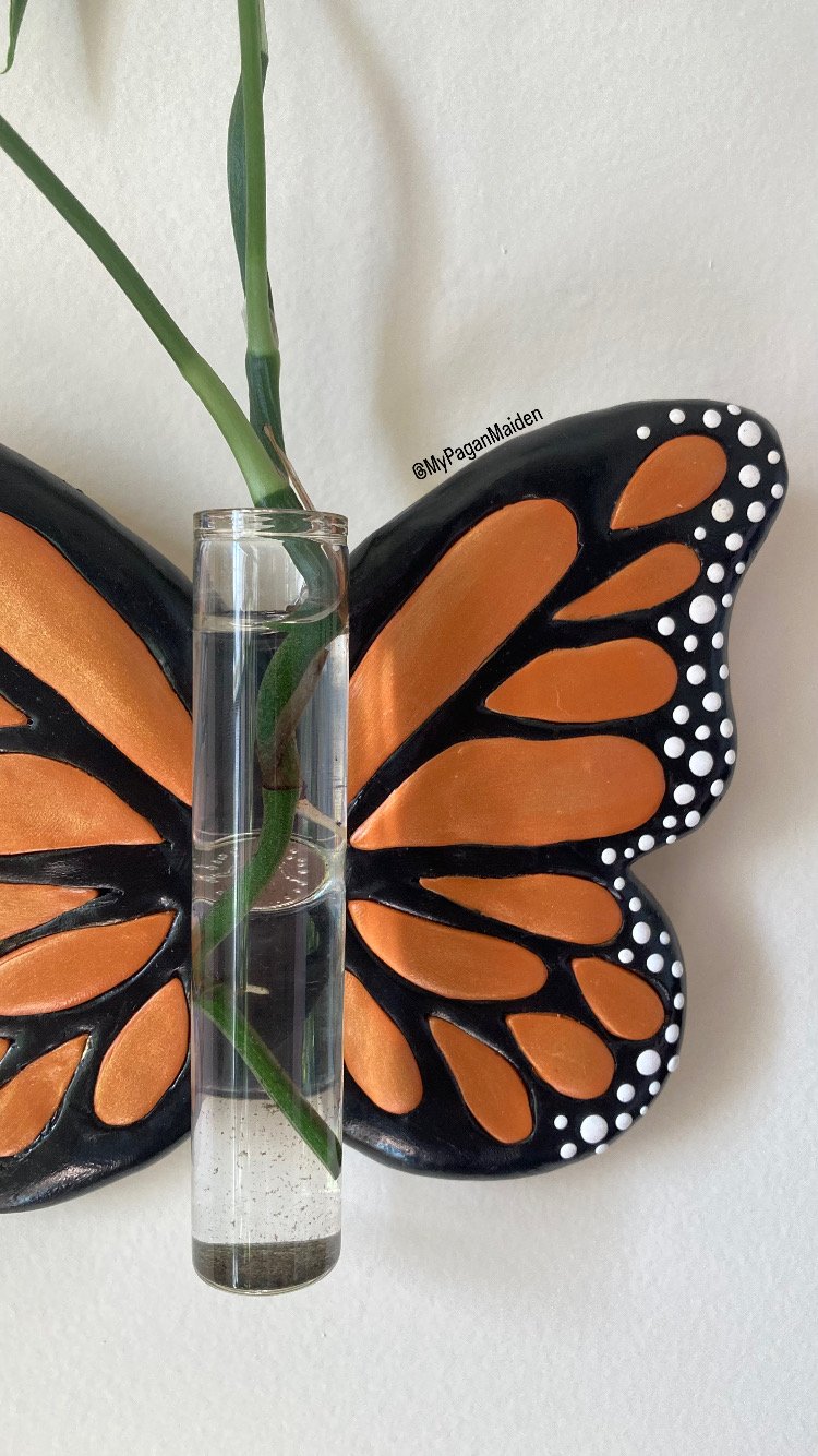 An orange, black, and white propagation station in the shape of a butterfly growing a plant leaf.