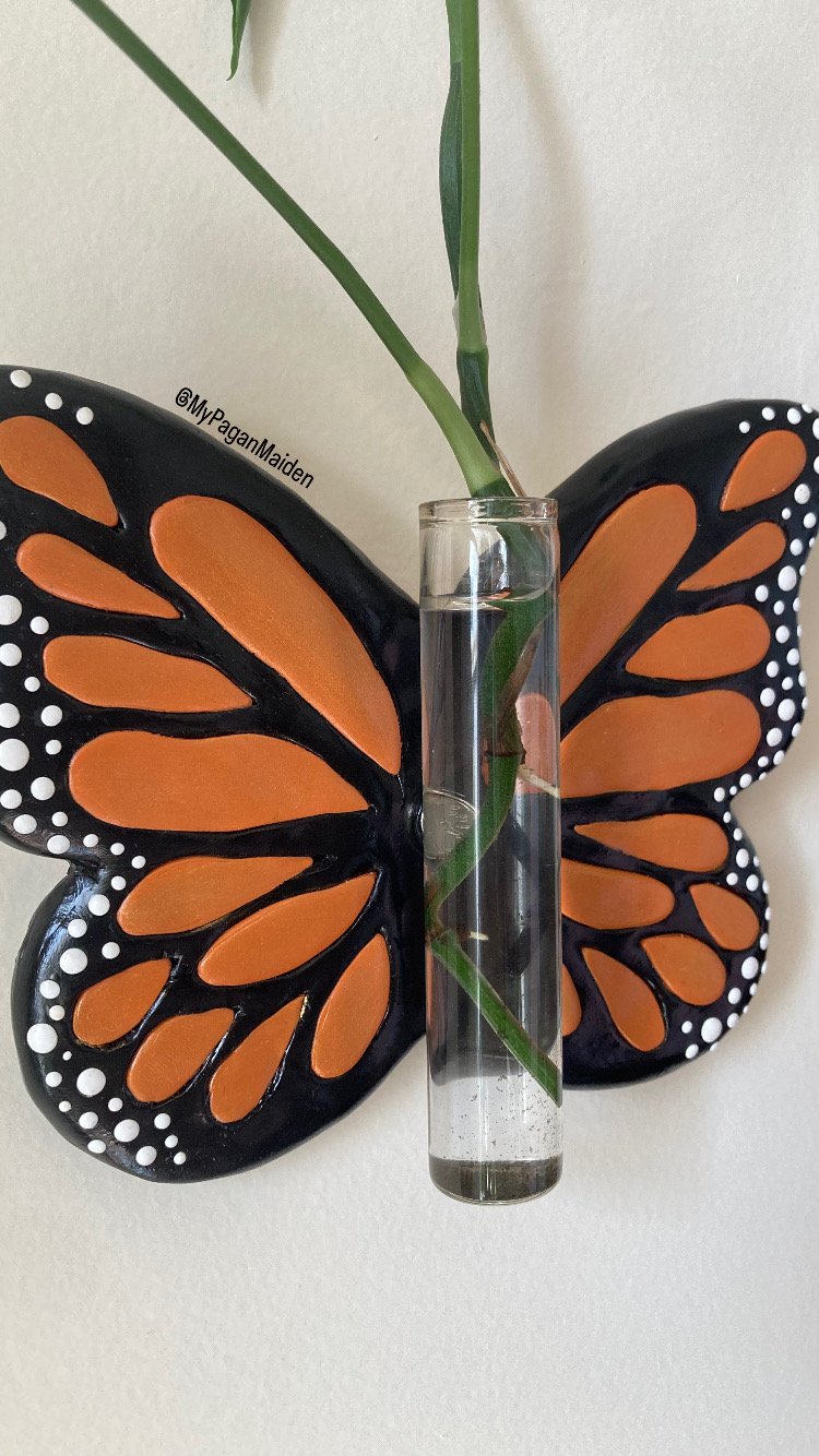 A propagation station in the design of an orange and black butterfly growing a tall plant.