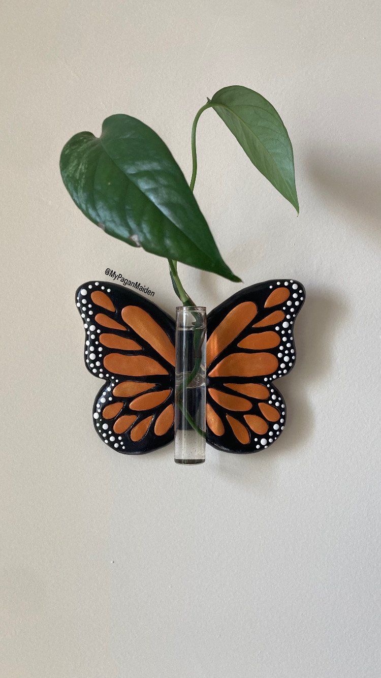 A propagation station in the design of a butterfly mounted against a white wall and growing a tall leaf.