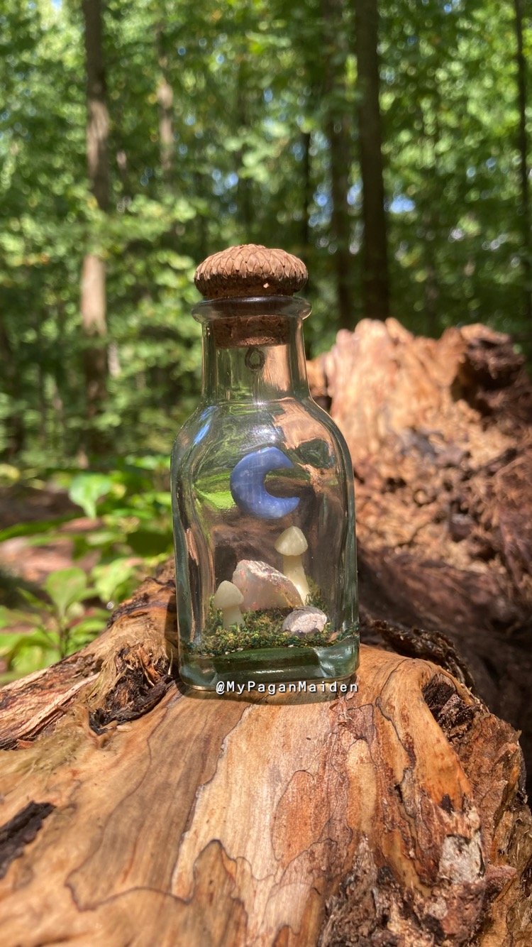 A terrarium bottle with an acorn cap lid outside next to a large tree stump, featuring a blue crescent moon inside along with crystals, glow in the dark mushrooms, and other nature-inspired details.
