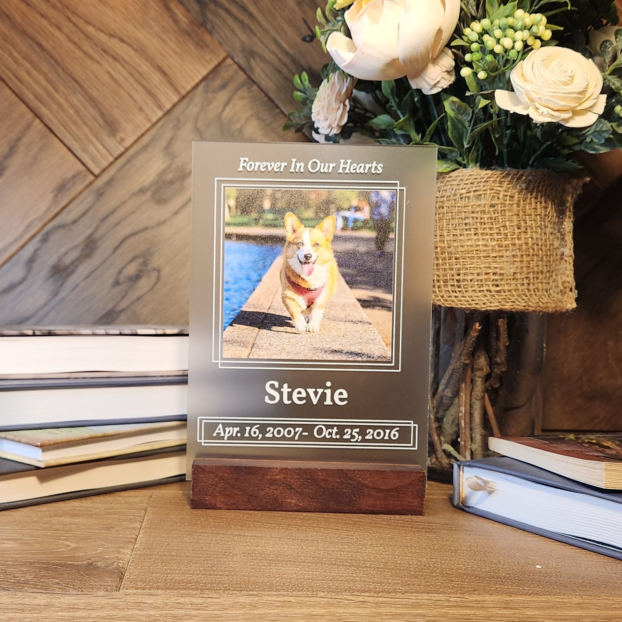 Acrylic+Pet+Display+-+Profile+-+FROSTED.jpg