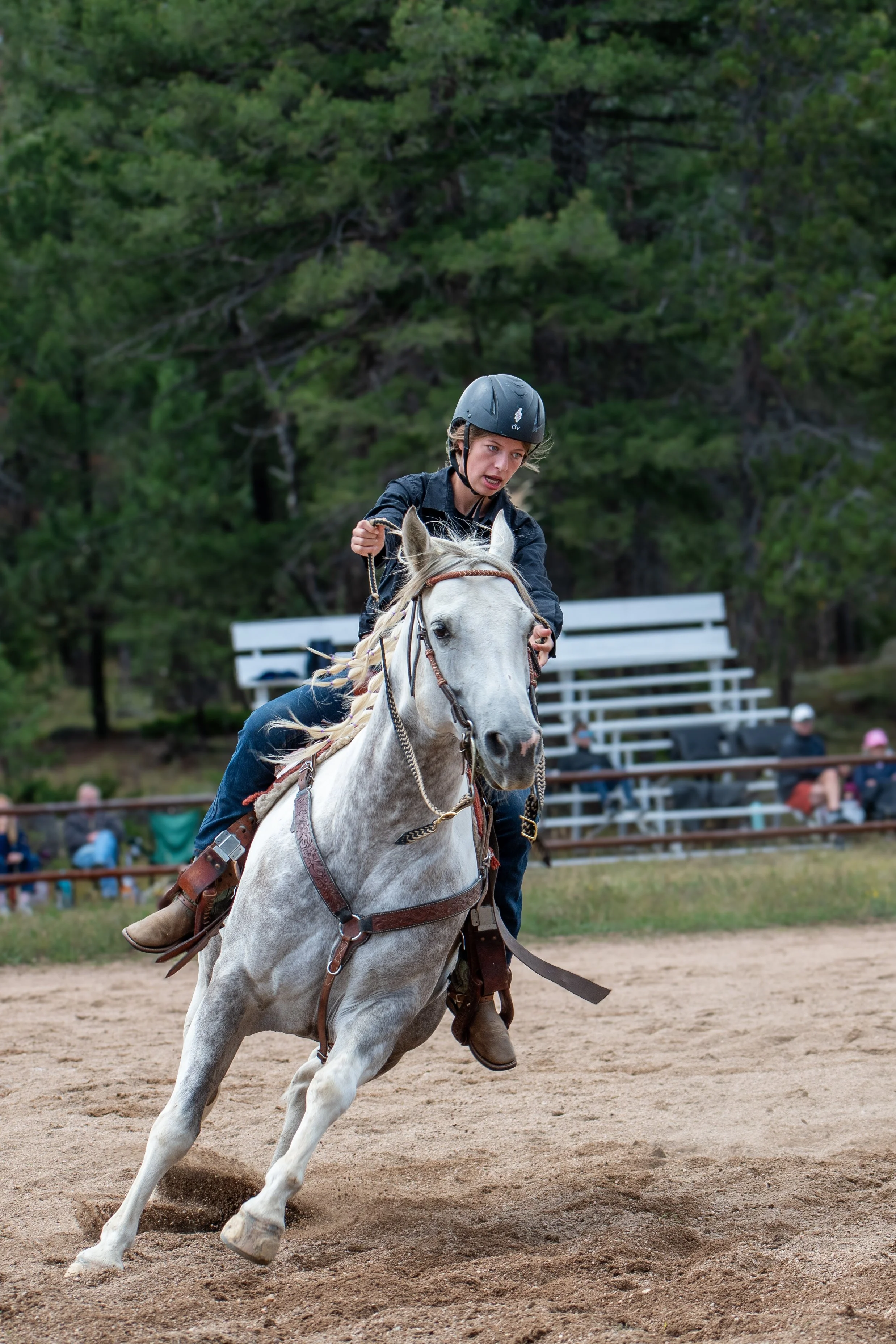 Jeffco 4H Winter Classic Show Part 2