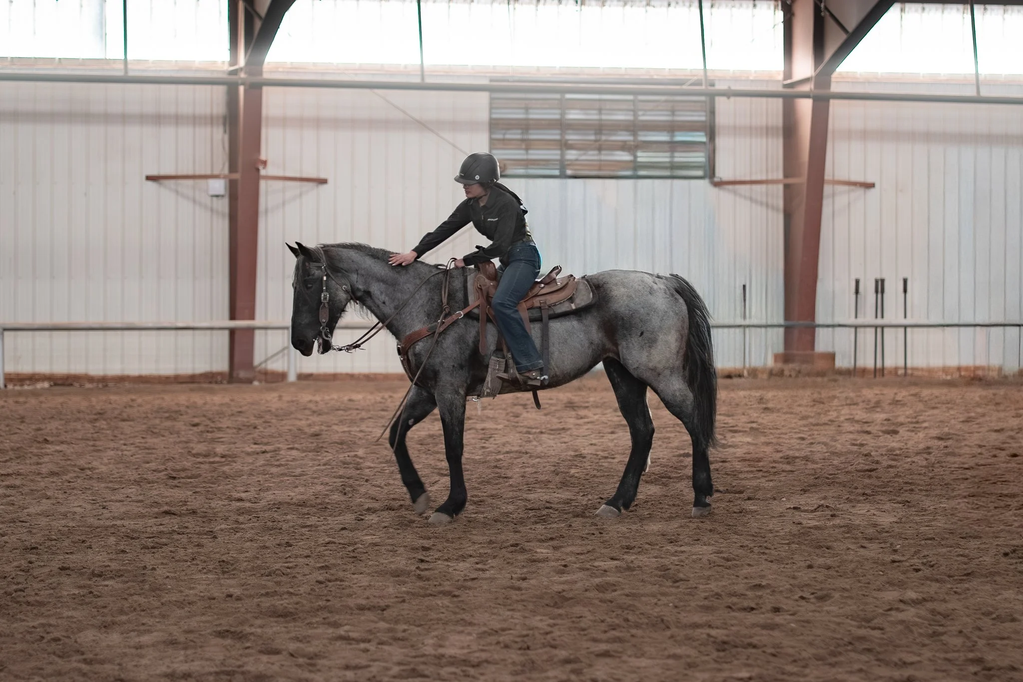 Jeffco 4H Winter Classic Show Part 2