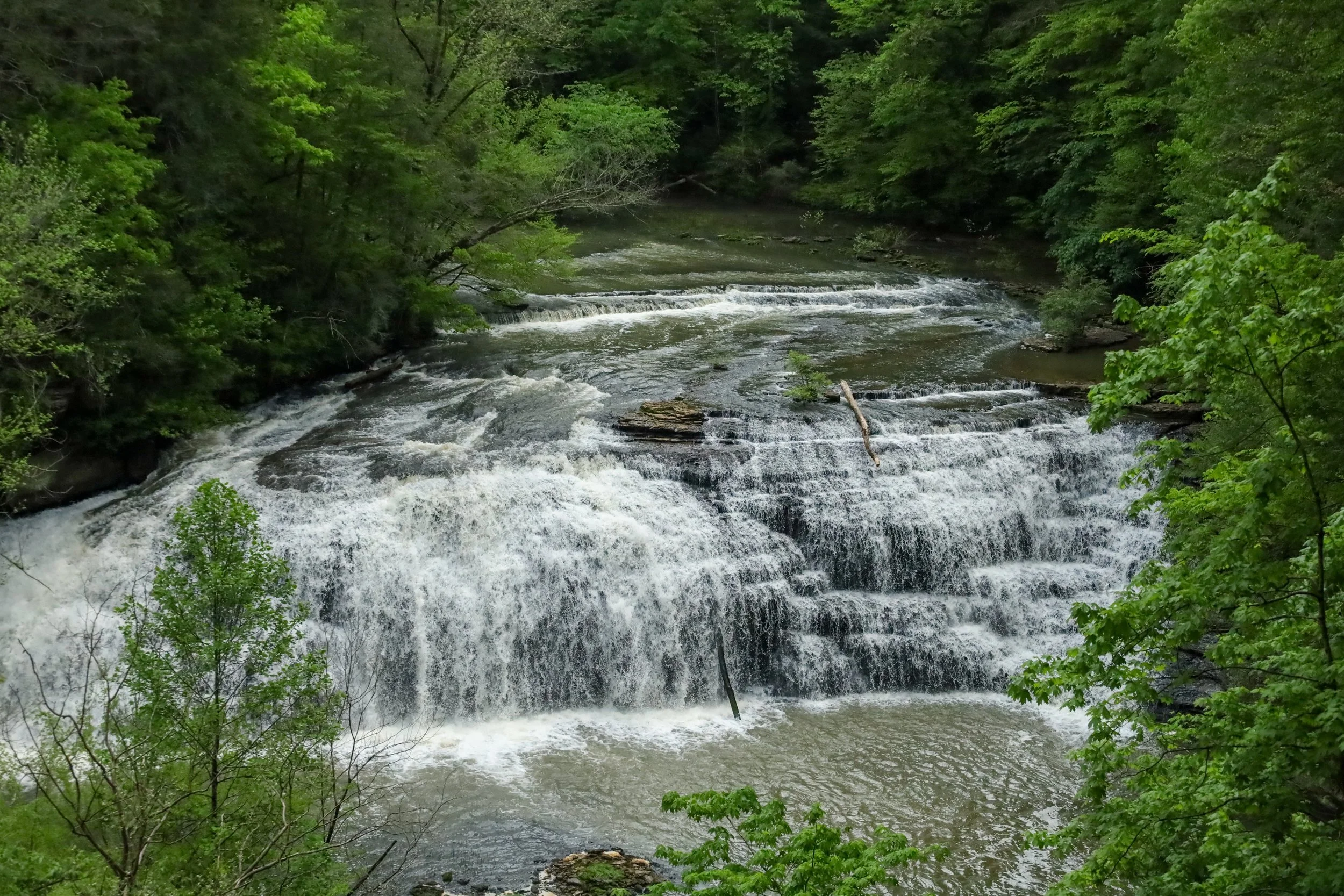 Tennessee -158.jpg