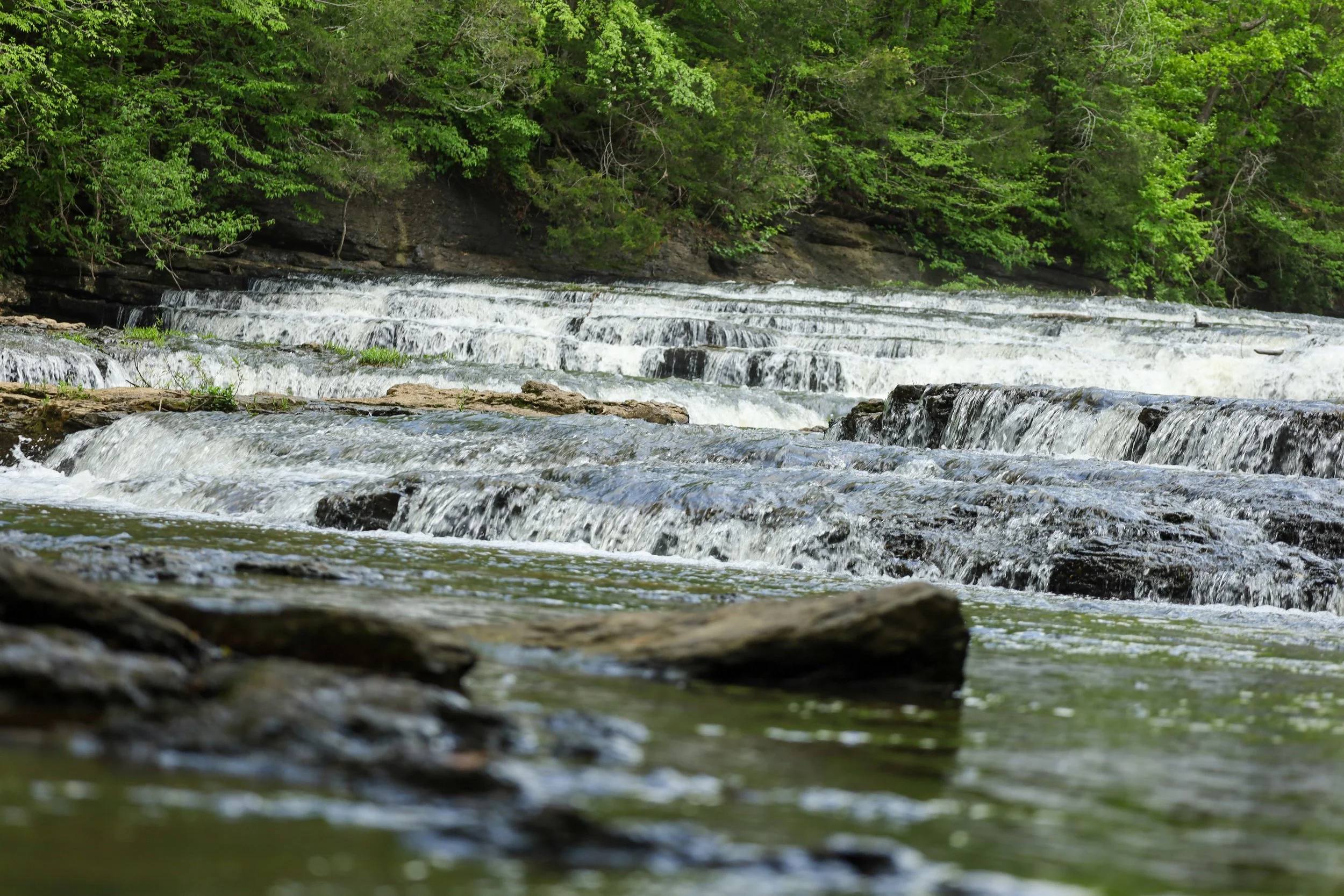 Tennessee -066.jpg