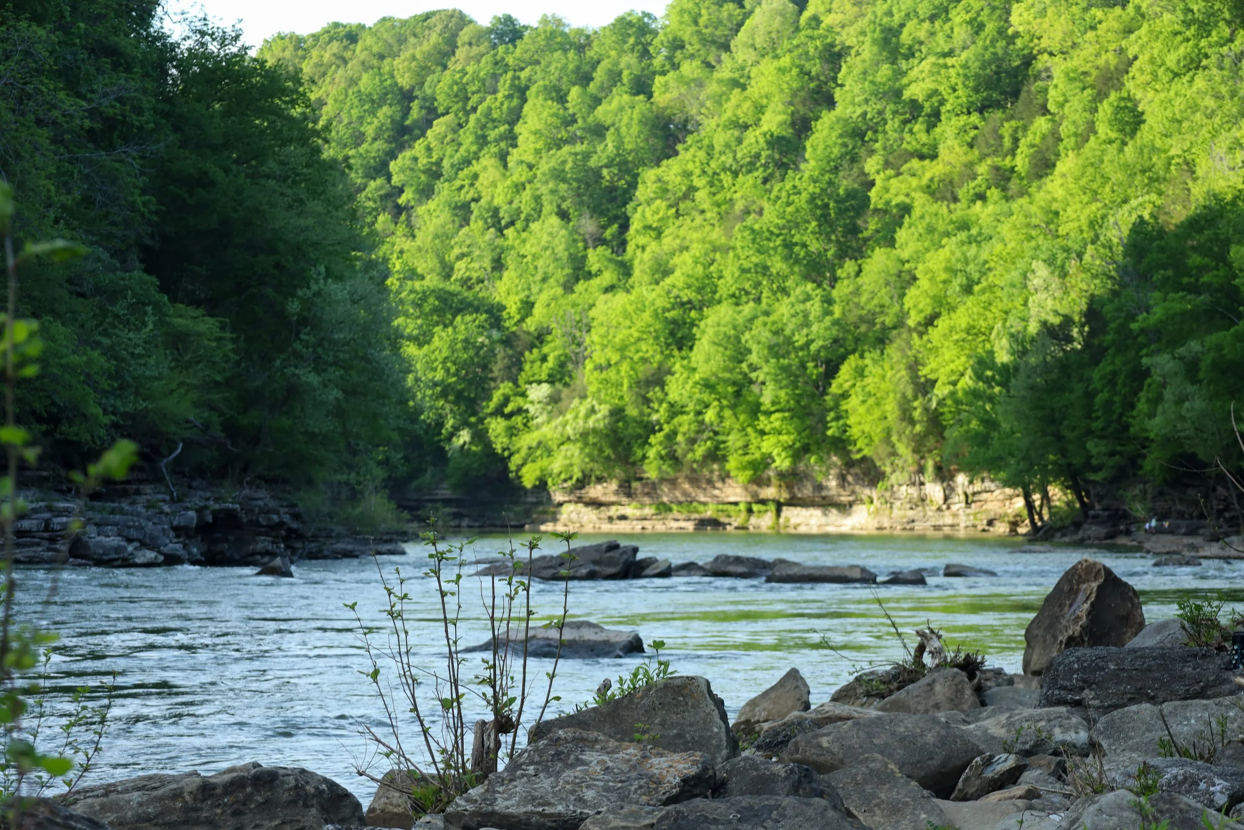 Tennessee -334.jpg