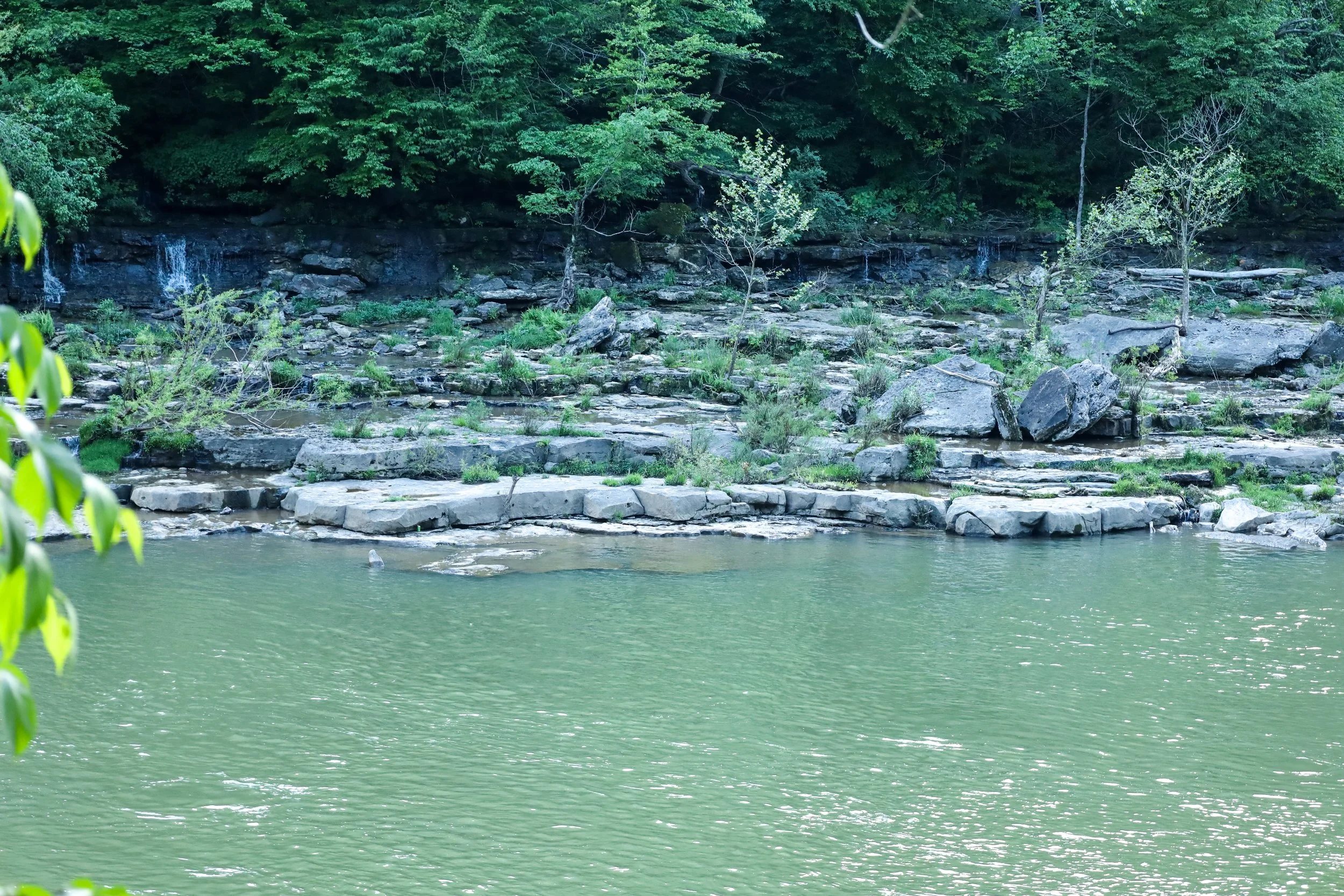 Tennessee -305.jpg