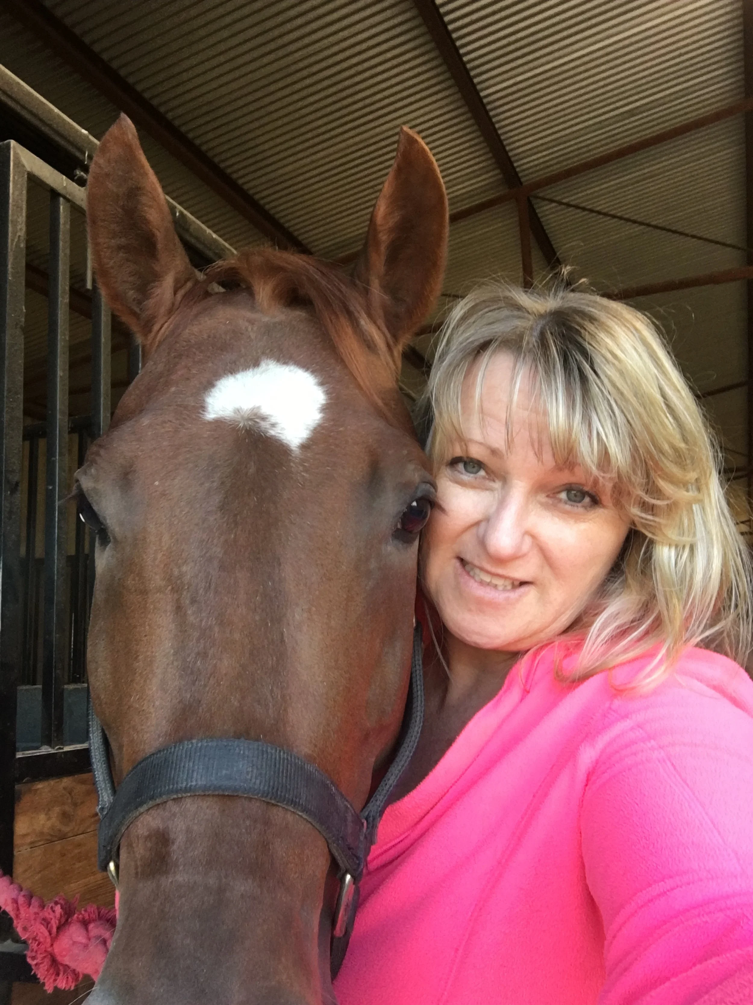 About — Hillside Boarding and Training