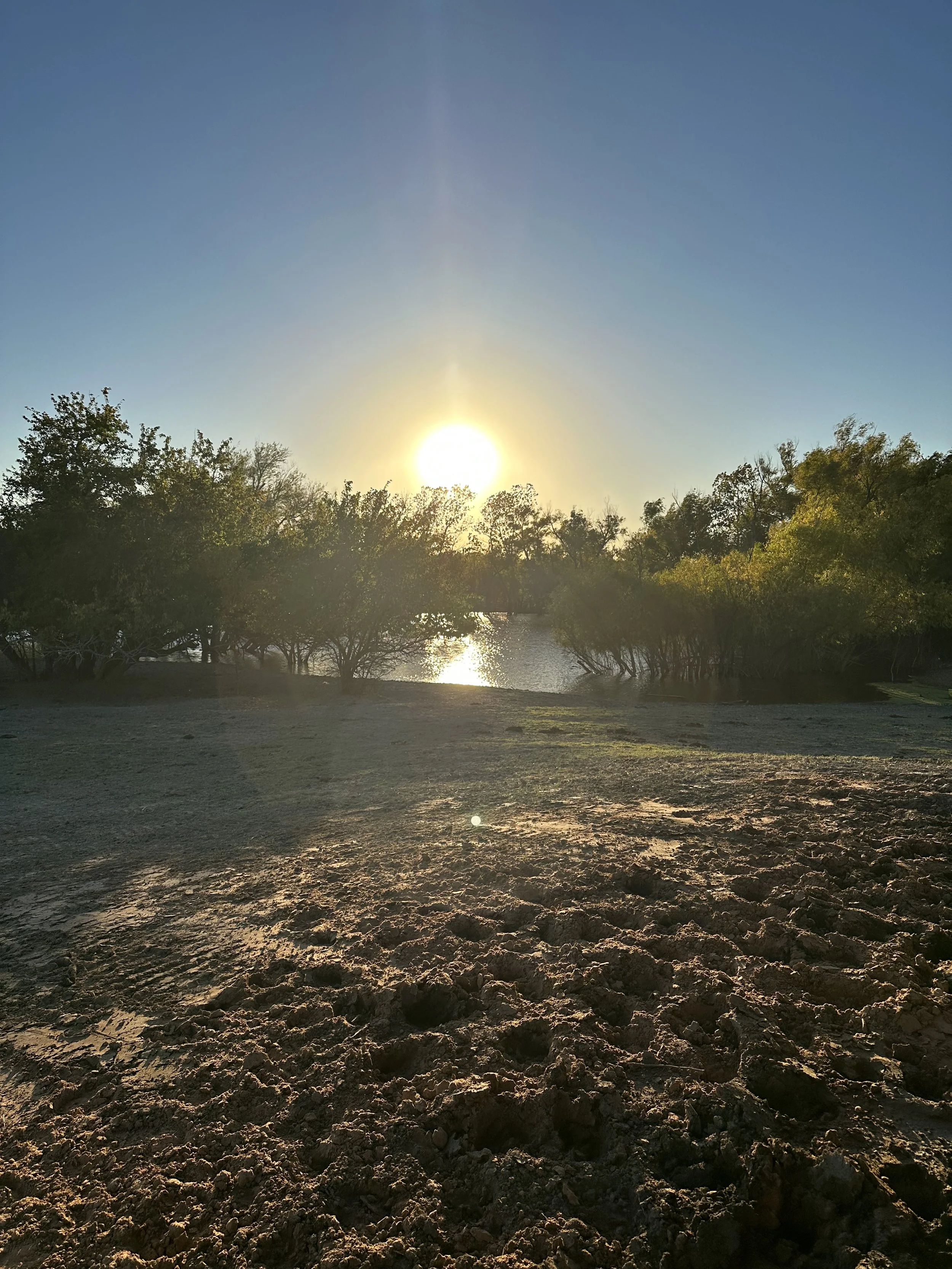 About — Hillside Boarding and Training