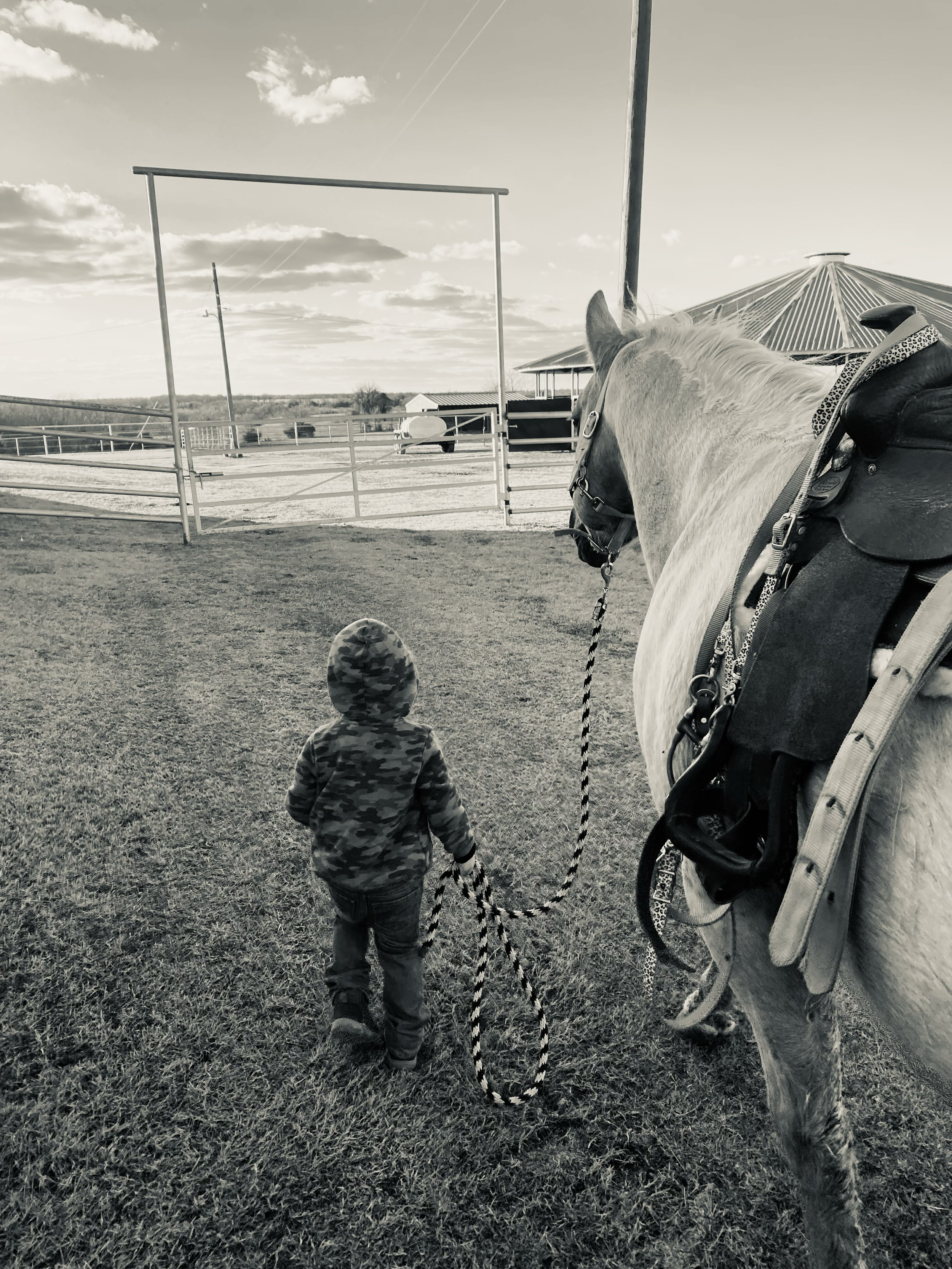 REX W AND SAWYER