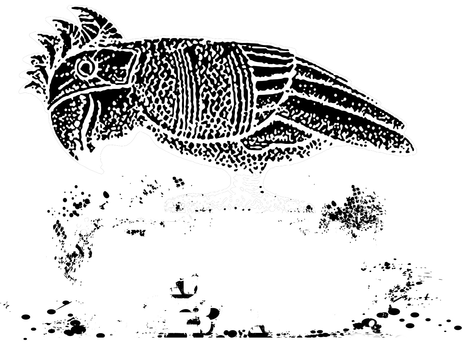 Jeg tok feil, Green Lantern er ganske bra. : r/dccomicscirclejerk, image size:1567x1179