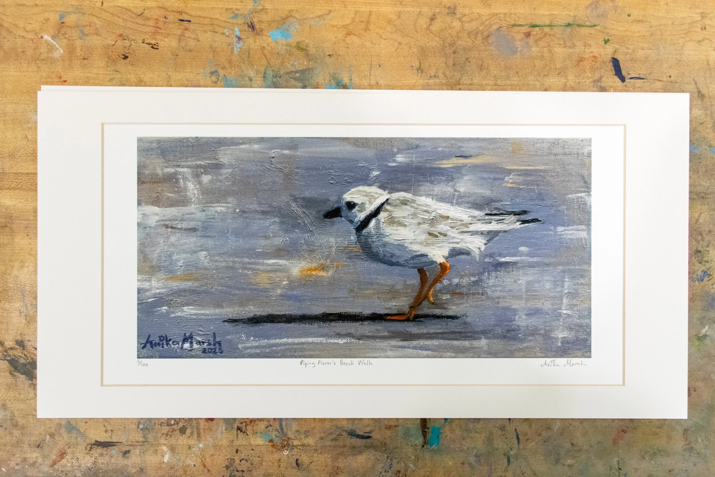'Piping Plover's Beach Walk' Limited Edition Print