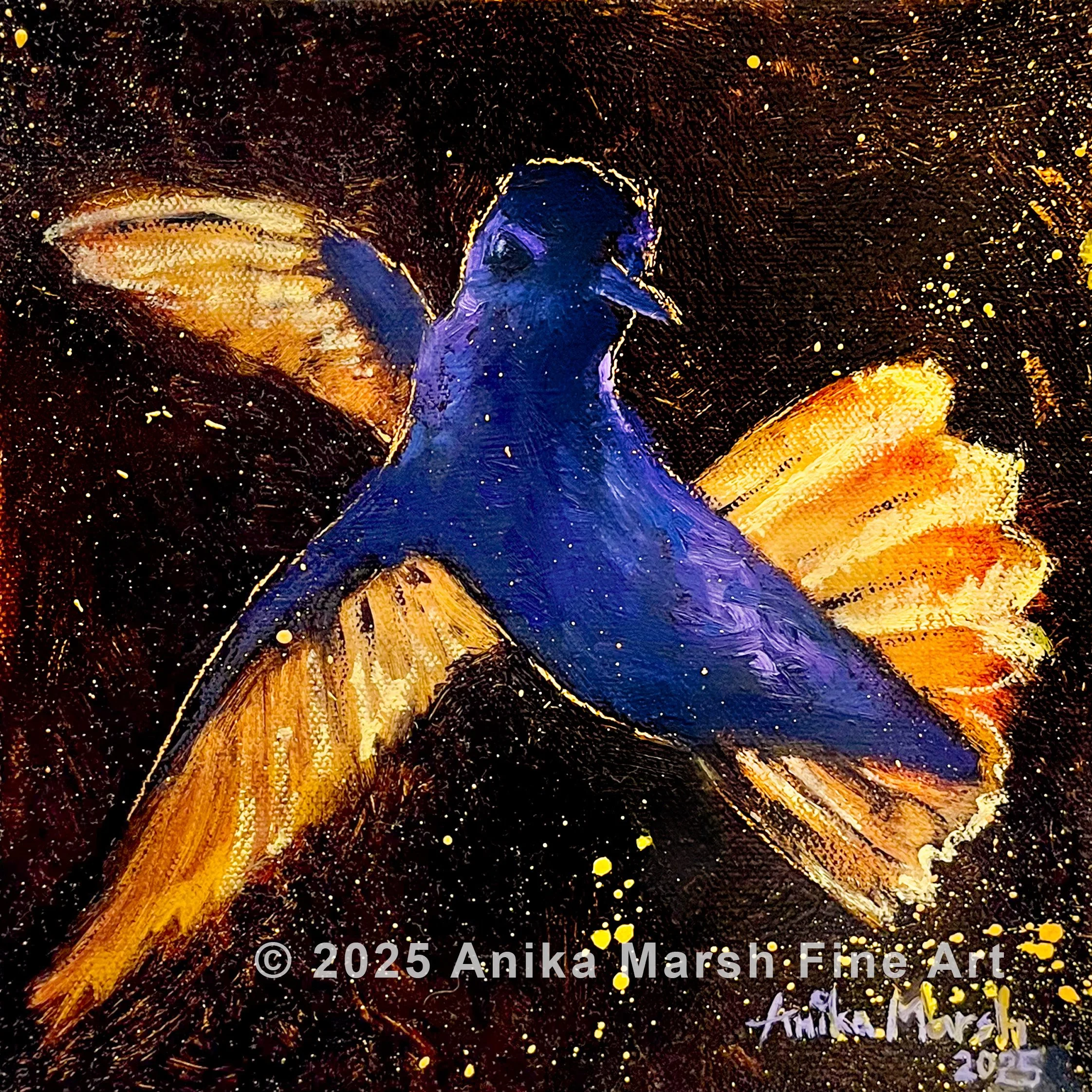 Backlit Hummingbird watermarked.jpg