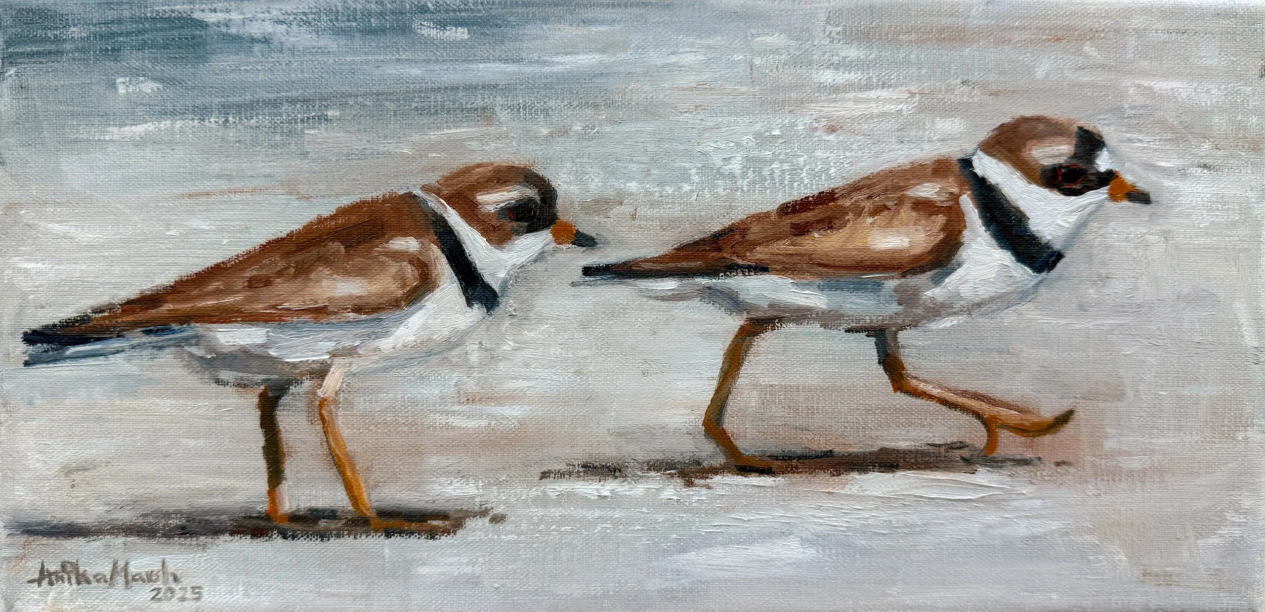 'Semipalmated Plover Chase' Limited Edition Print