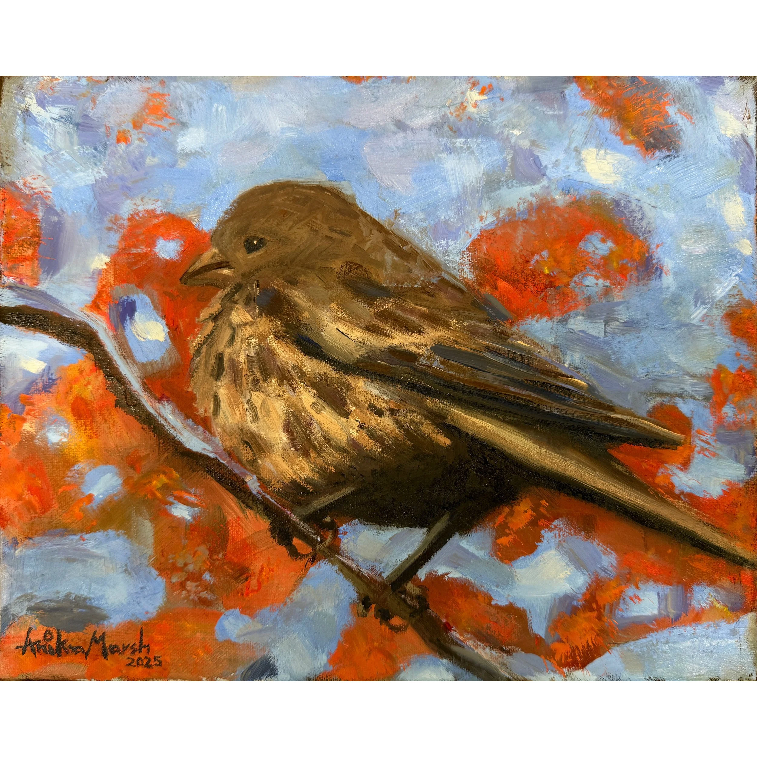 Female-House-Finch-(8x10)-1.jpg