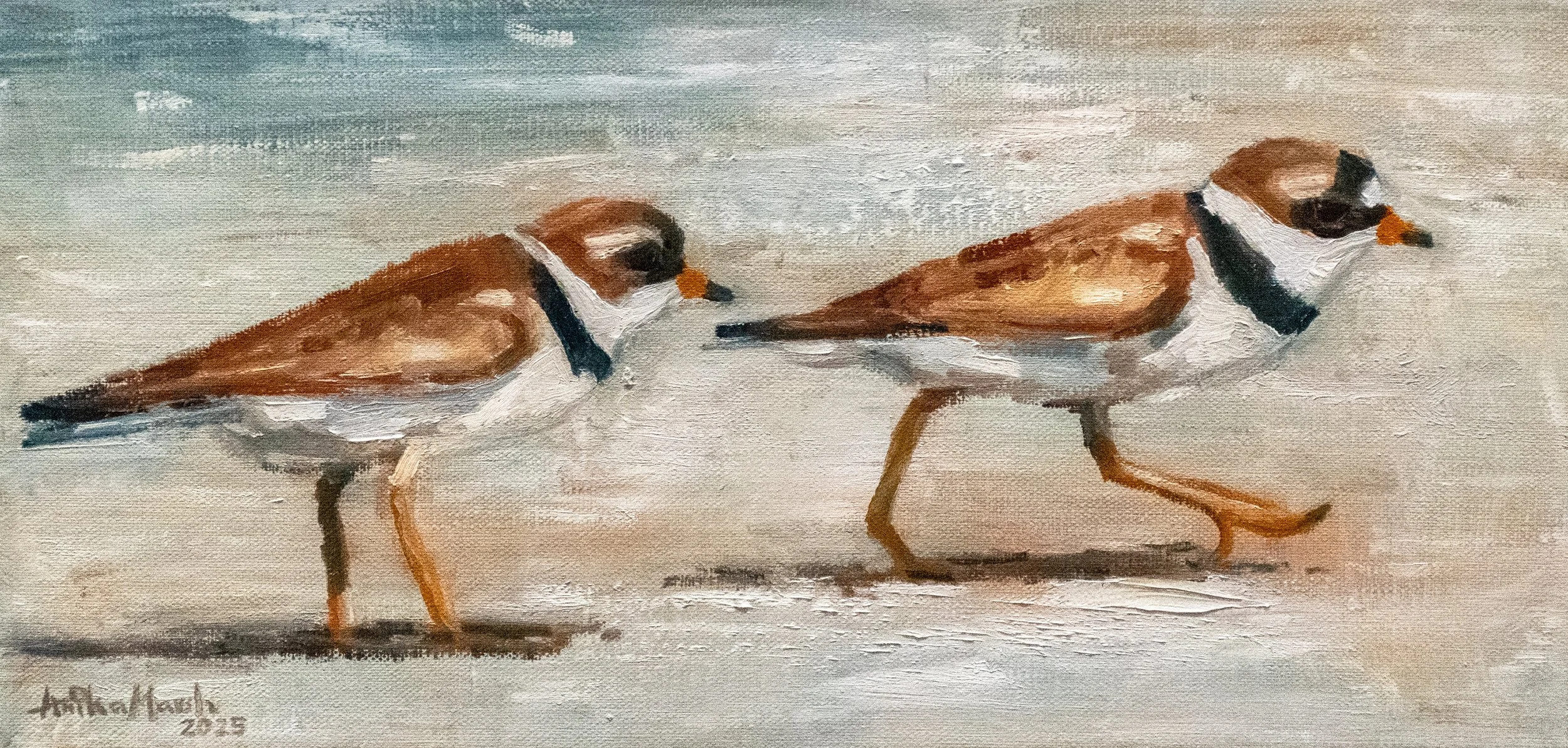 semipalmated-plover-chase-(painting-only).jpg