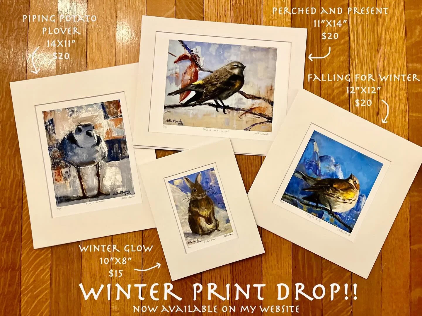 Here&rsquo;s a look at the four new prints that are added to my print collection. You can check them out on my website (link in bio), or at the Gifted Holiday Market in Boston this Sunday, Dec. 14th from 11a-4p! @neopenmarkets 

#neopenmarkets #finea