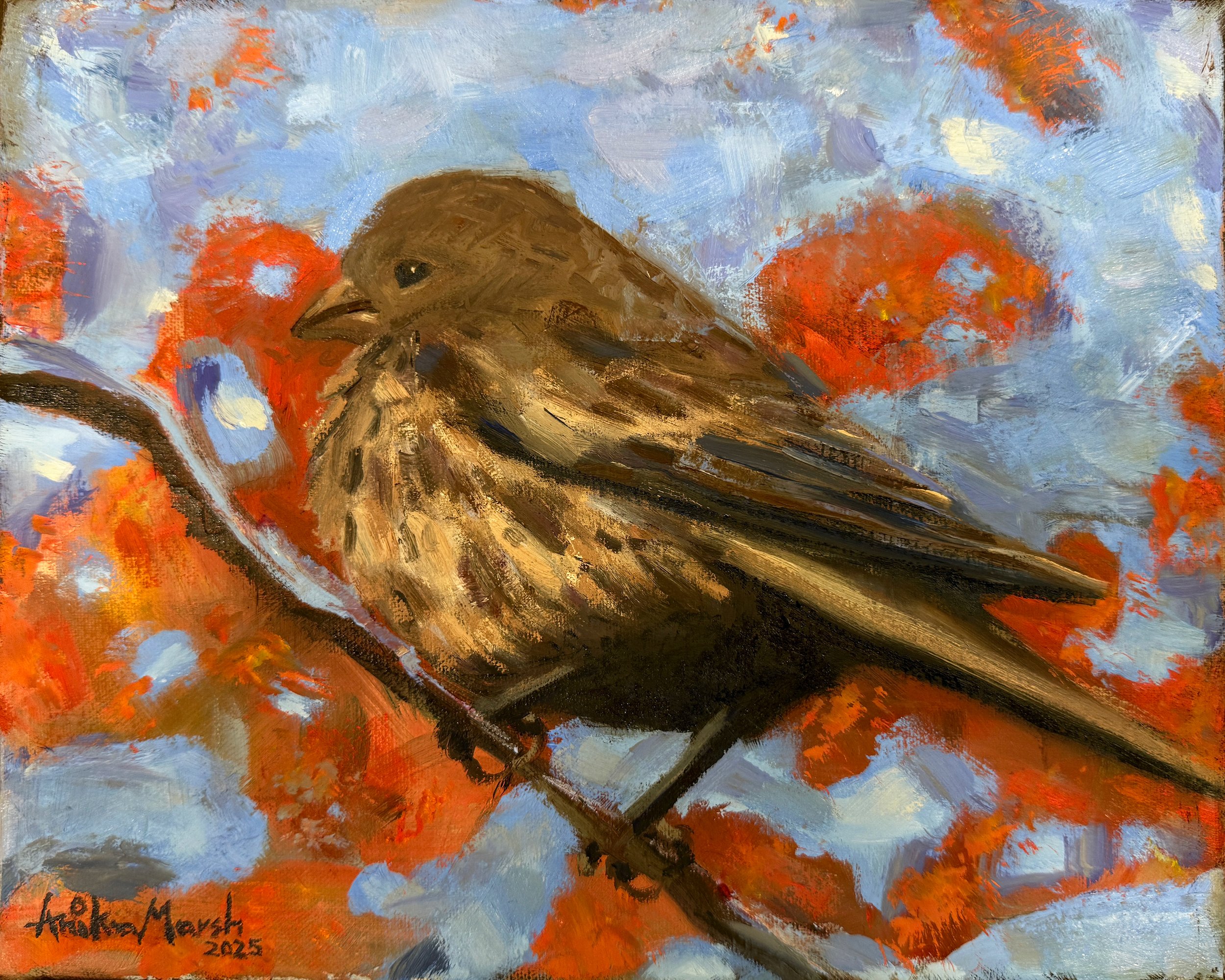 Female House Finch (8x10) 1.jpg