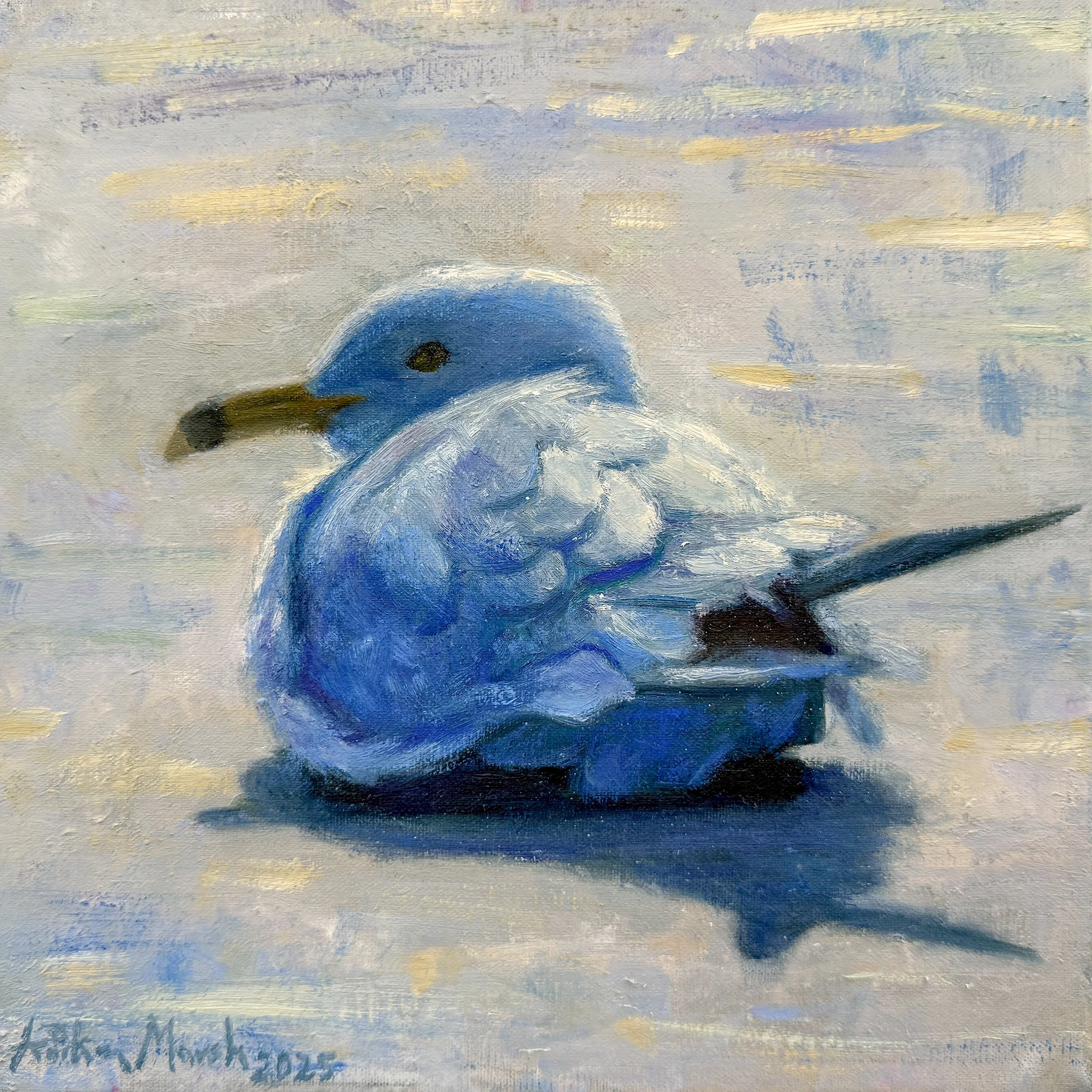 Seagull's Sunbath.jpg