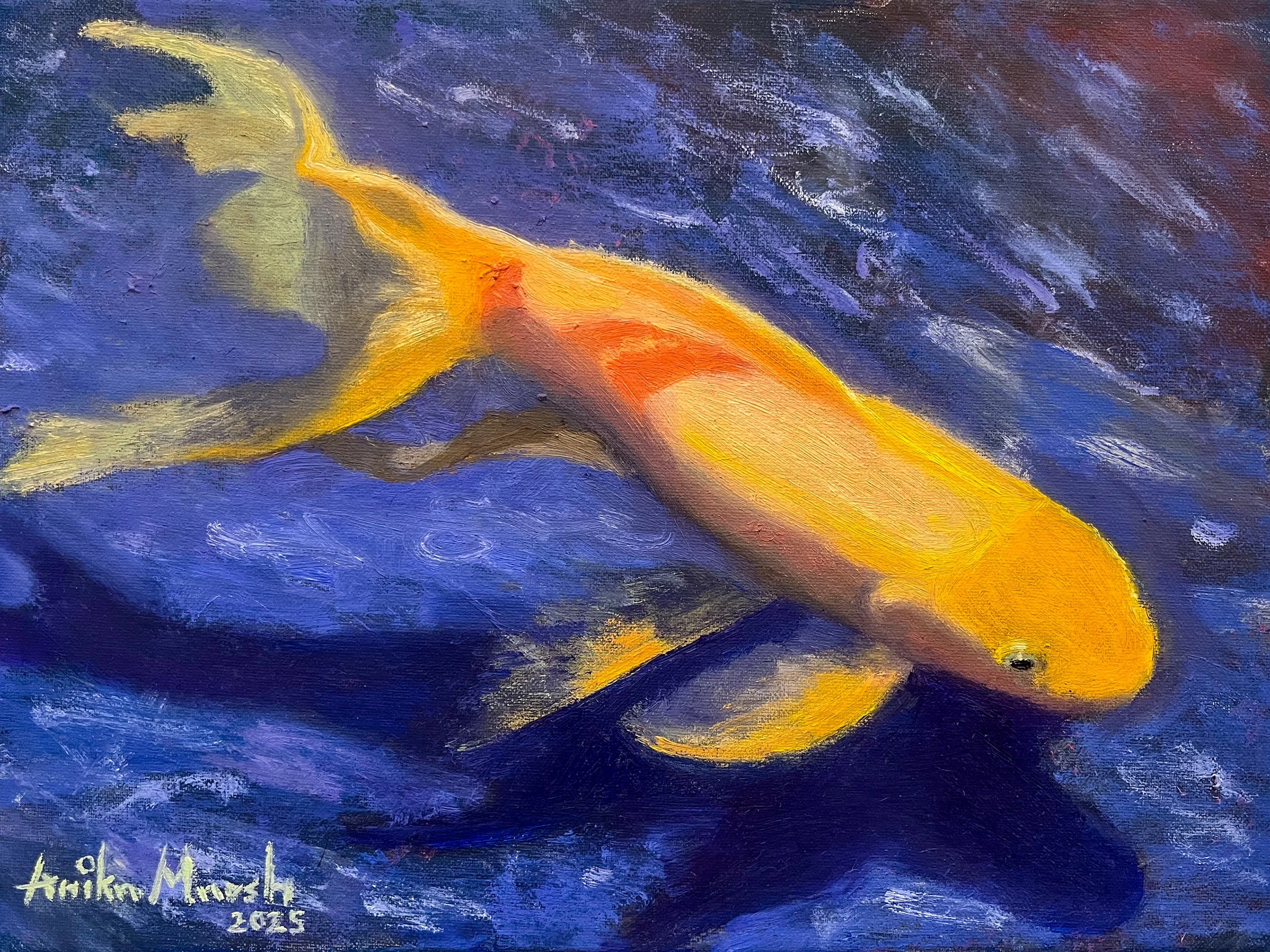'Swimming in Radiance' Limited Edition Print