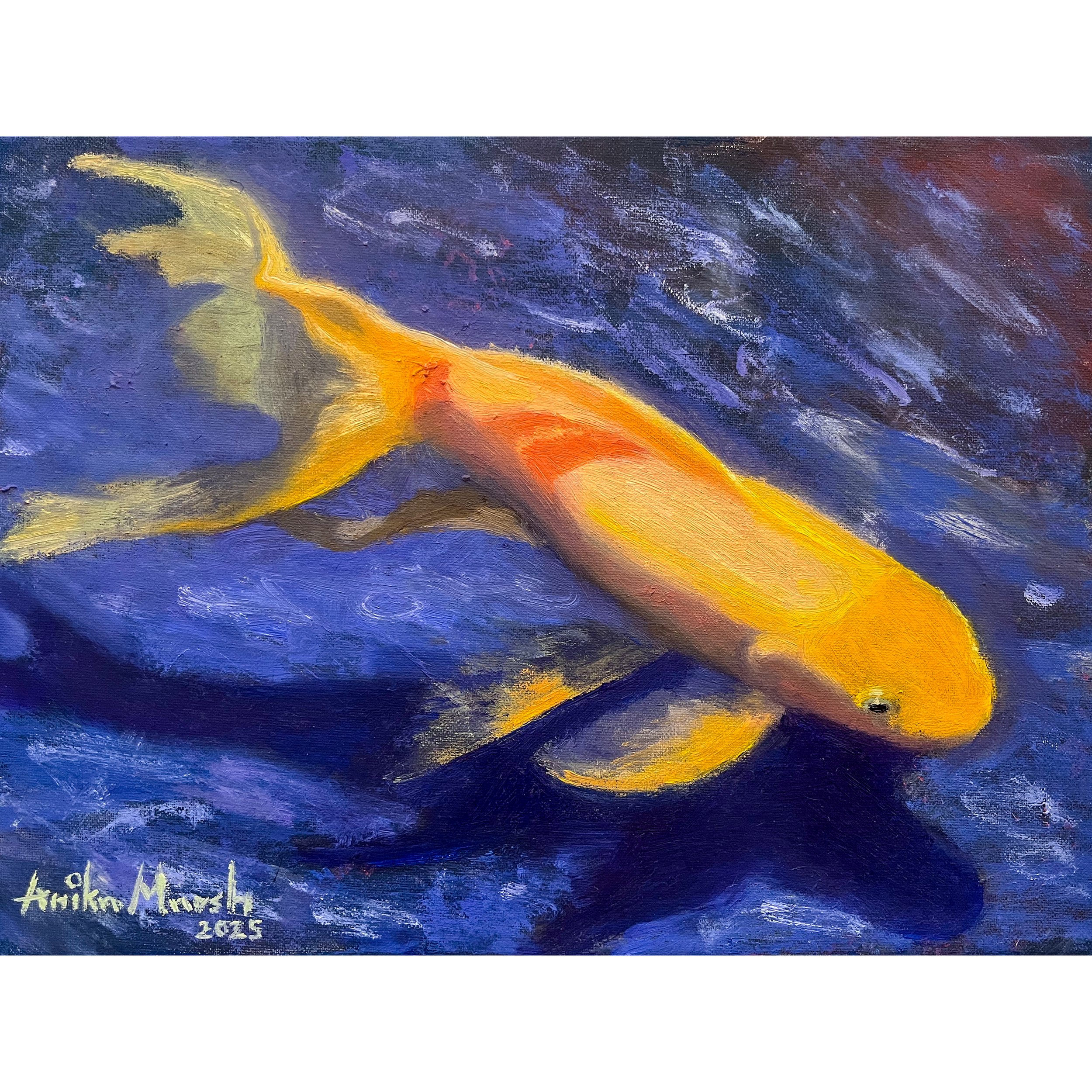 Swimming-in-Radiance-(Golden-Koi-in-Purple-Pond)---(9x12)-1.jpg