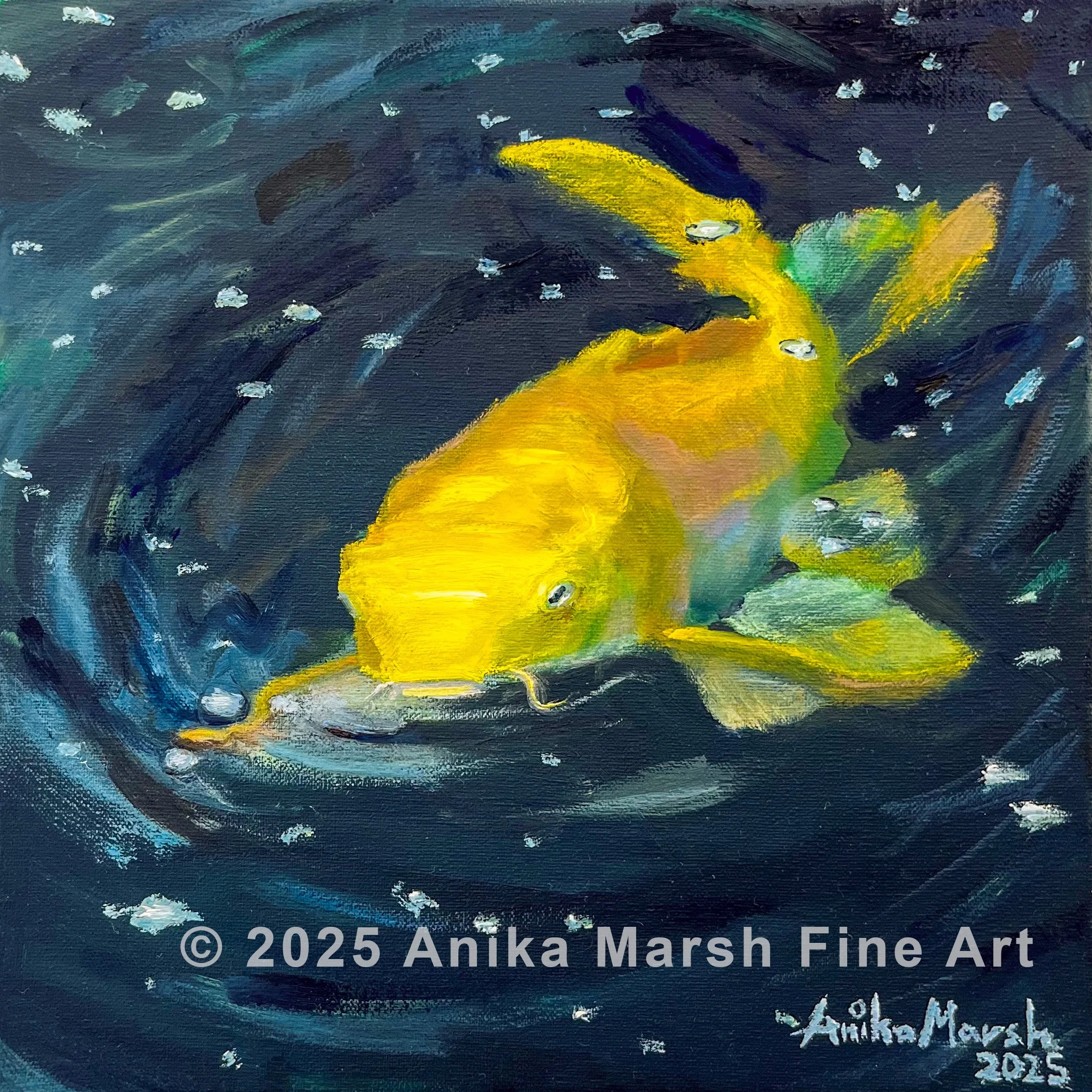 Golden Koi 2 (8x8) watermarked.jpg