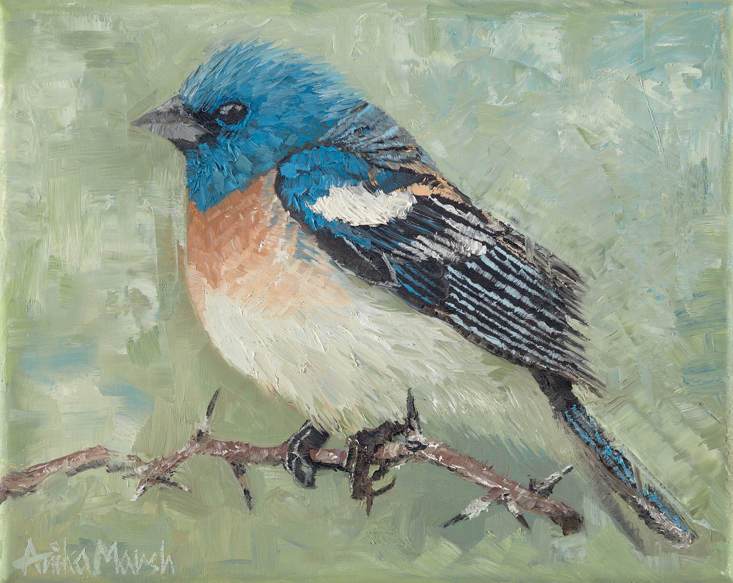 Lazuli-Bunting-(web)-1.jpg