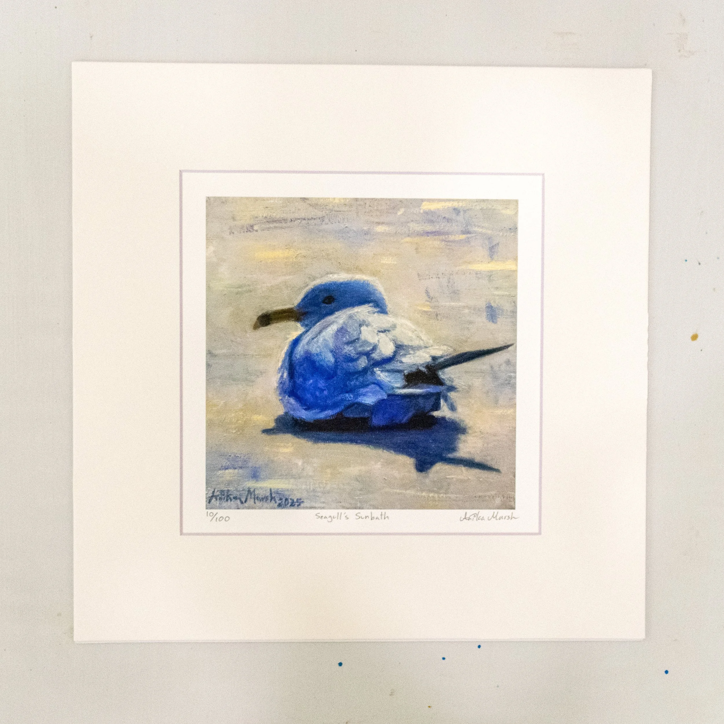 'Seagull's Sunbath' Limited Edition Print