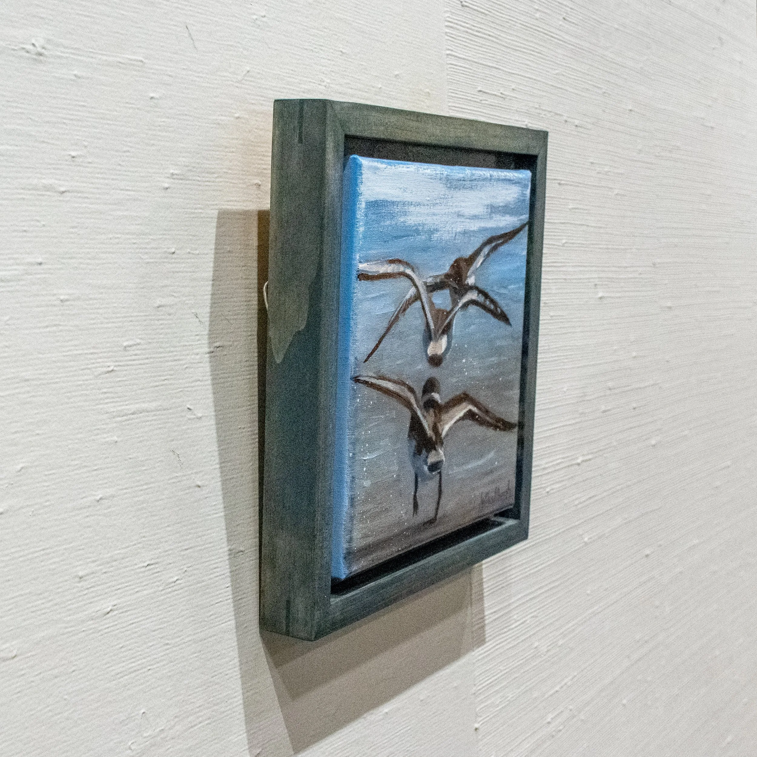 plover-trio-taking-flight-product-photo-side-shot.jpg