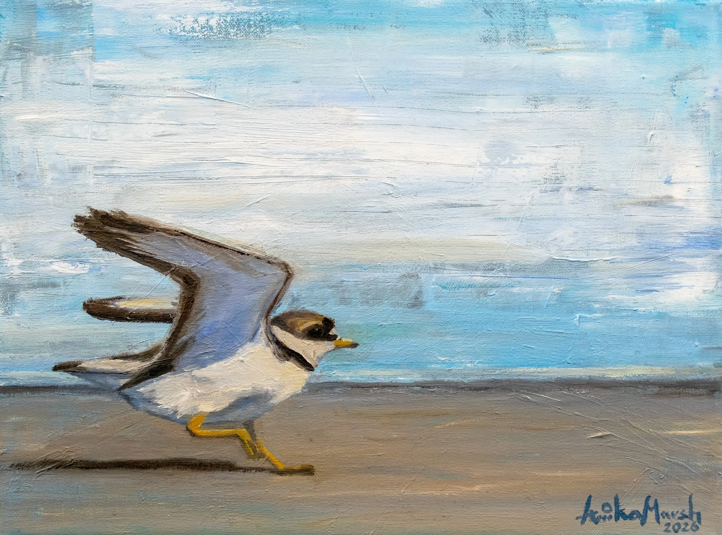 beach runway (9x12) 1.jpg