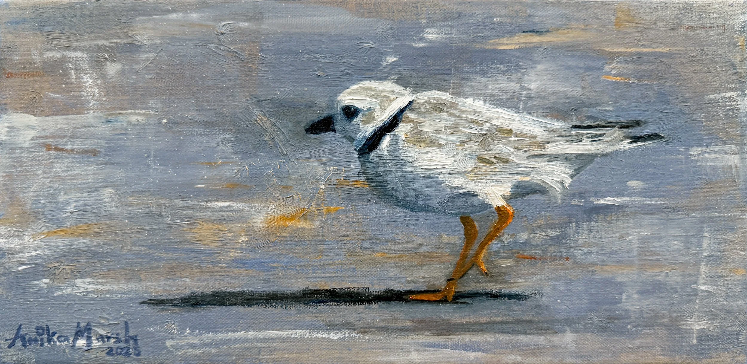 'Piping Plover's Beach Walk' Limited Edition Print