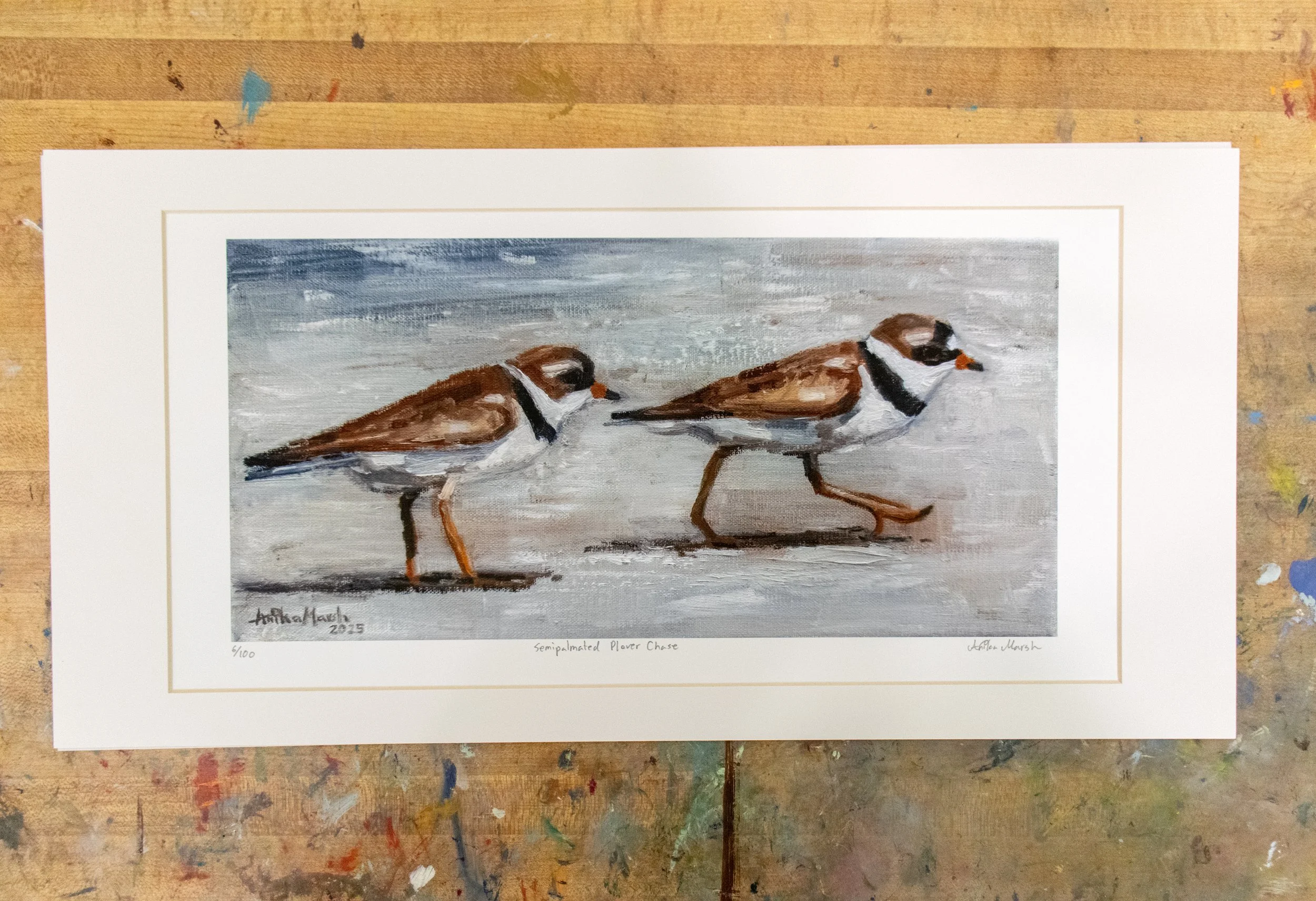 'Semipalmated Plover Chase' Limited Edition Print