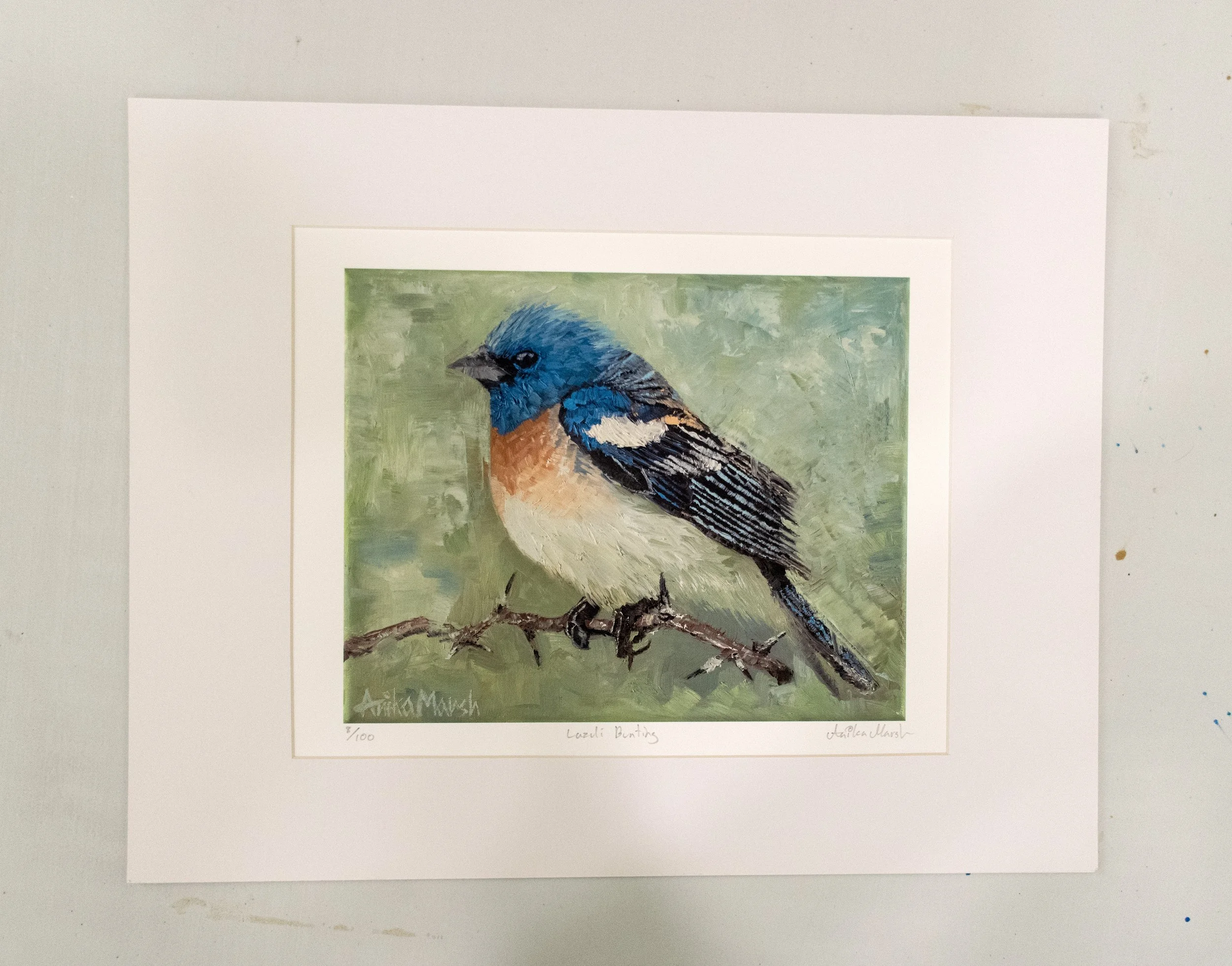 'Lazuli Bunting' Limited Edition Print