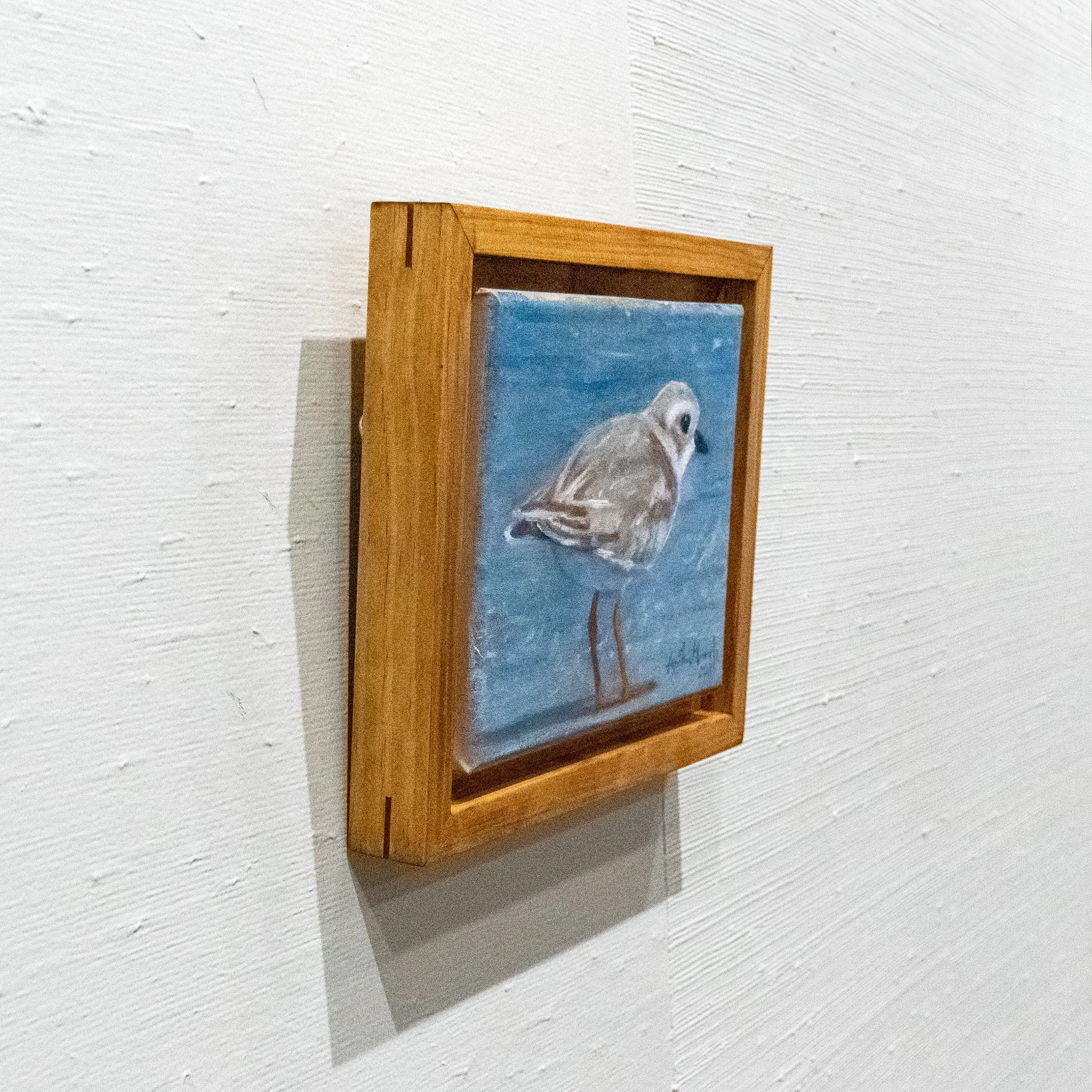 piping-plover-in-maine-product-photo-side-shot.jpg