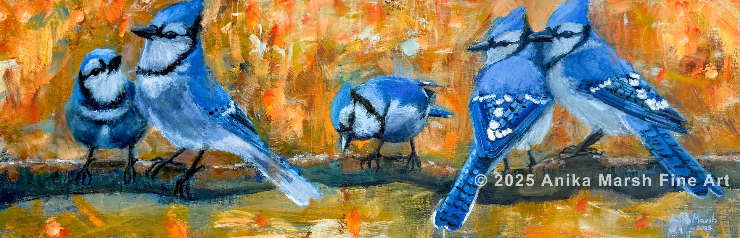 Blue Jays in Fall Embrace 1 watermarked.jpg