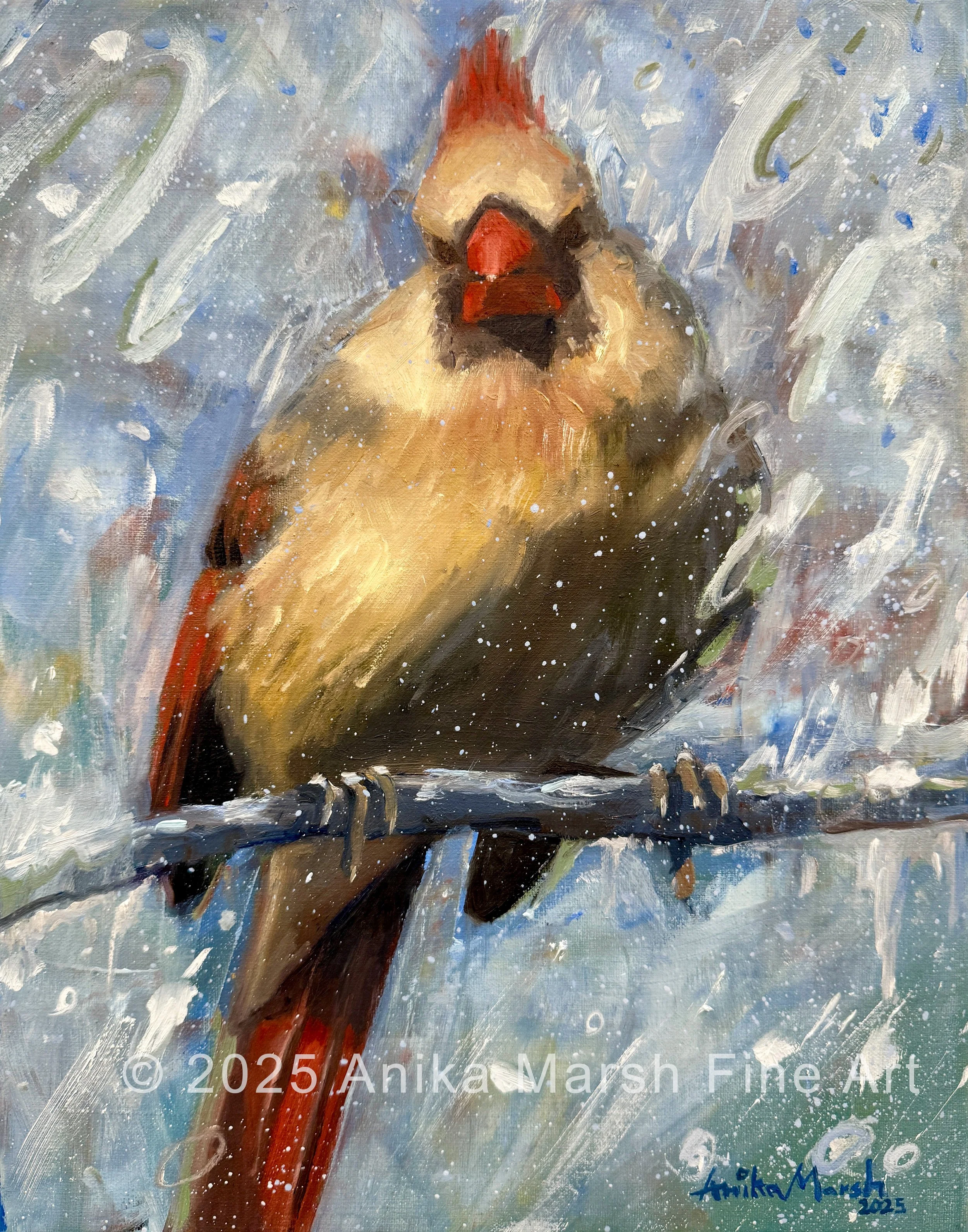 Female Cardinal in Snow 1 (11x14) watermarked.jpg