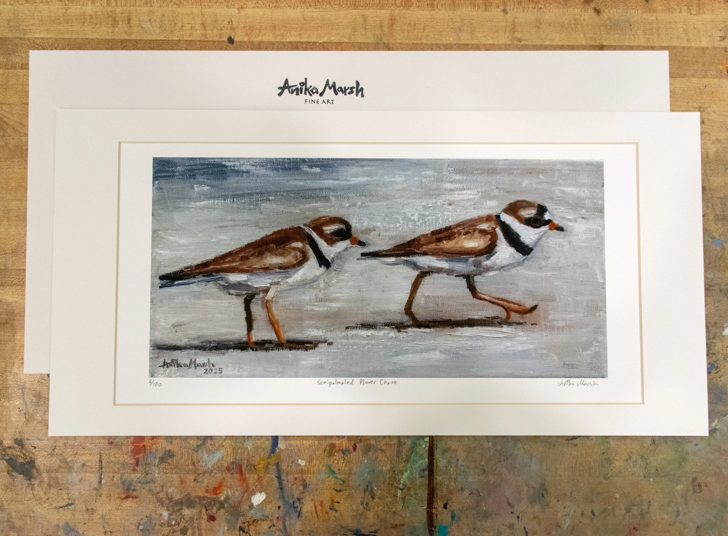 semipalmated-plover-chase-print-with-stamp.jpg