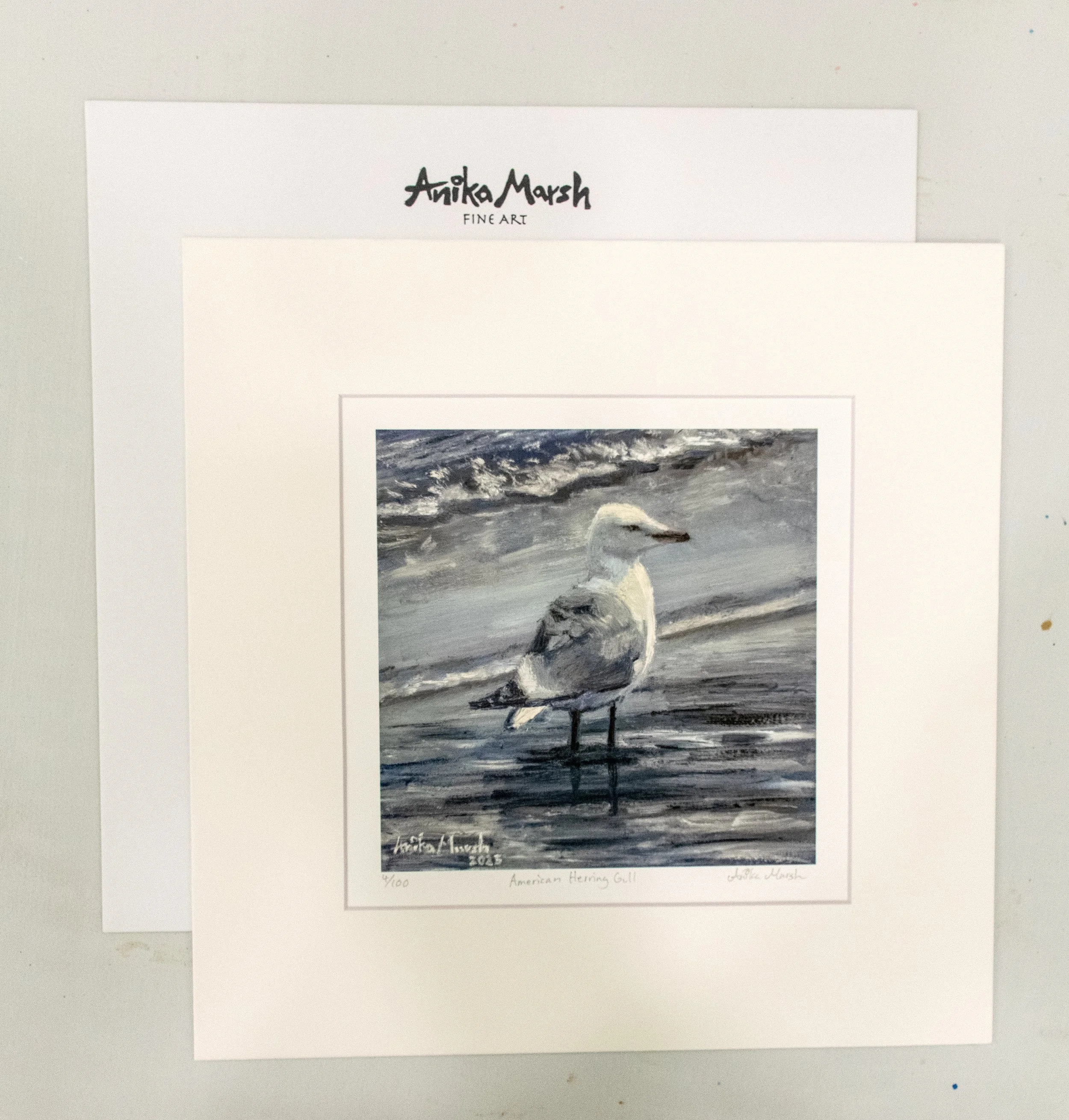 american-herring-gull-print-with-stamp.jpg