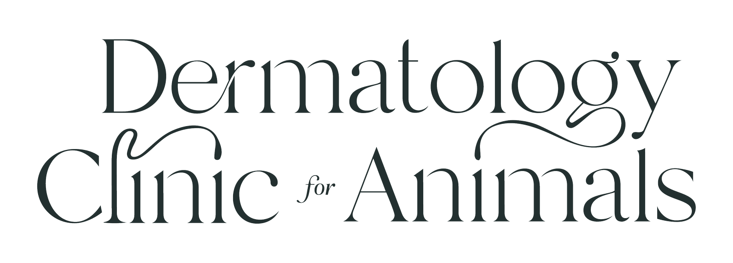 Dermatology Clinic for Animals 