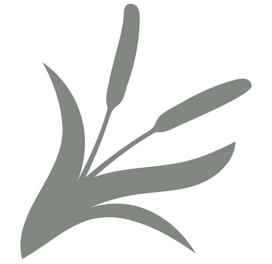 Dermatology Clinic for Animals Veterinary Dermatology Specialists in