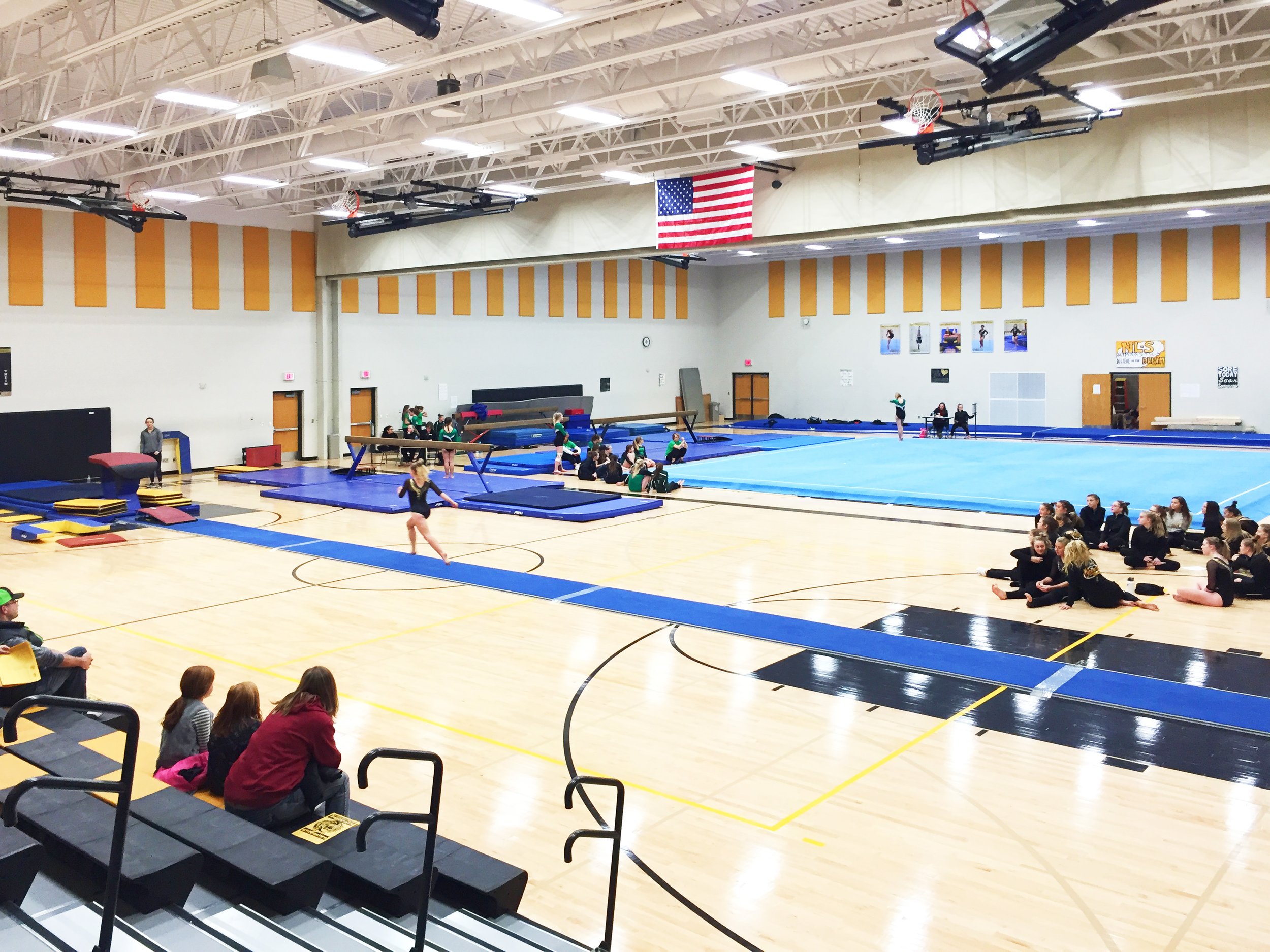 gymnastics 2.jpg