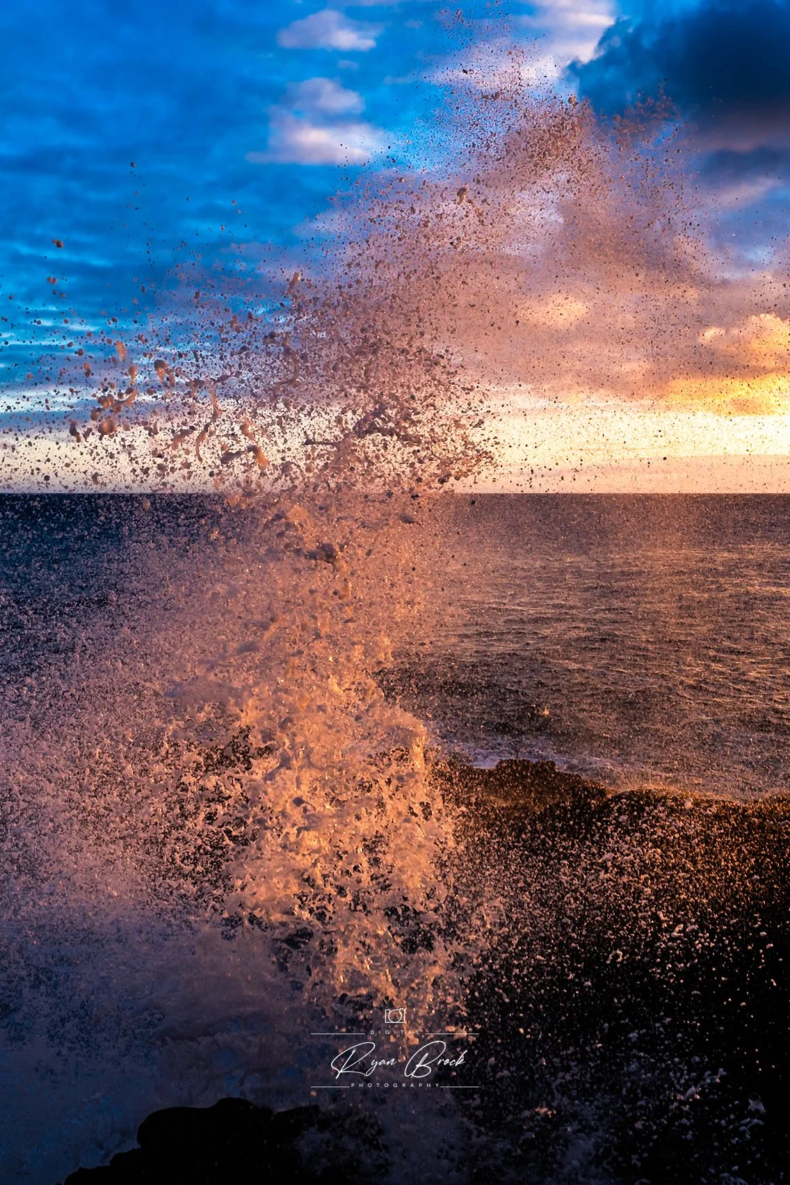 _Z621193.jpg