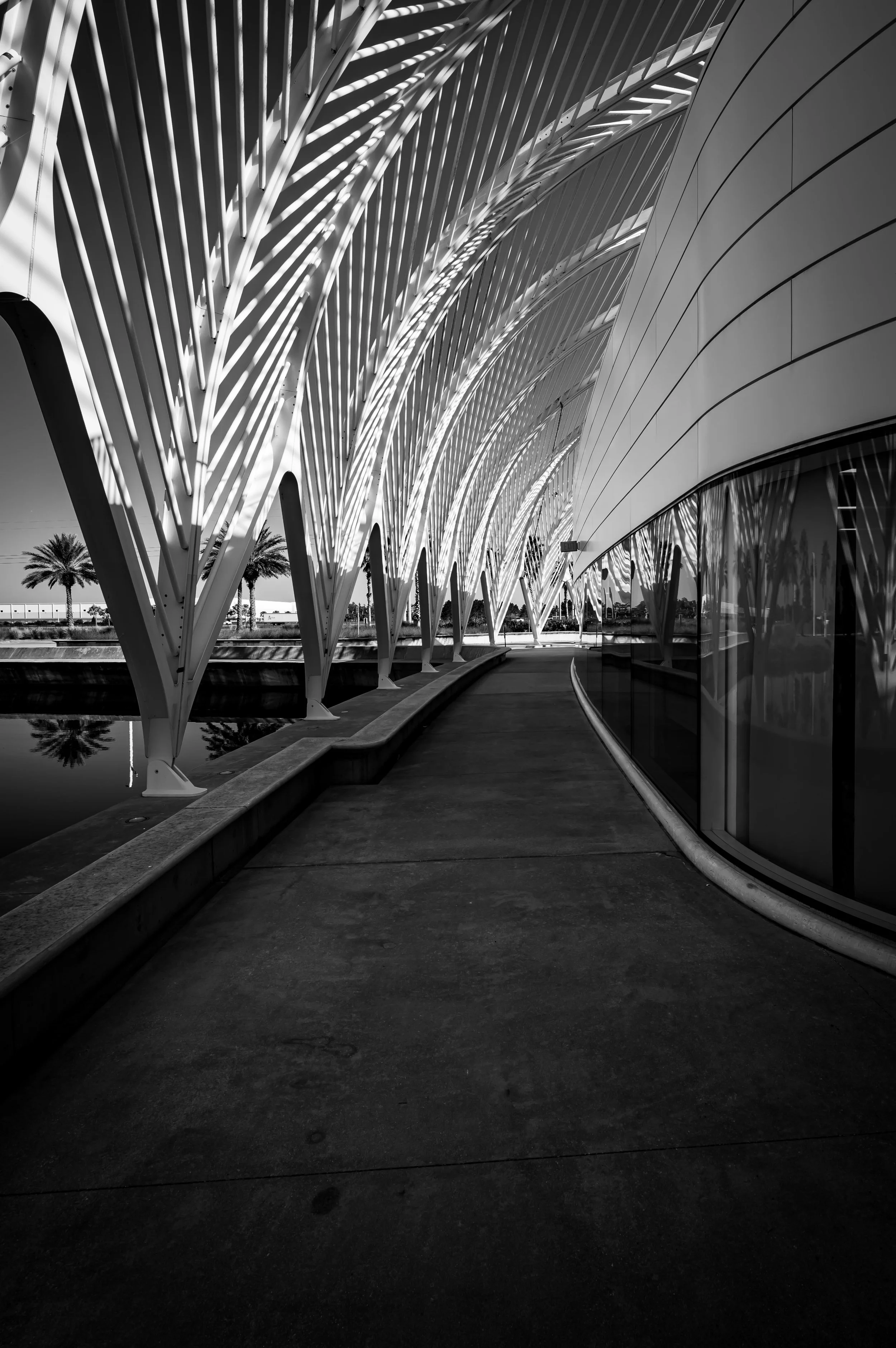 Florida Polytechnic University-15.jpg