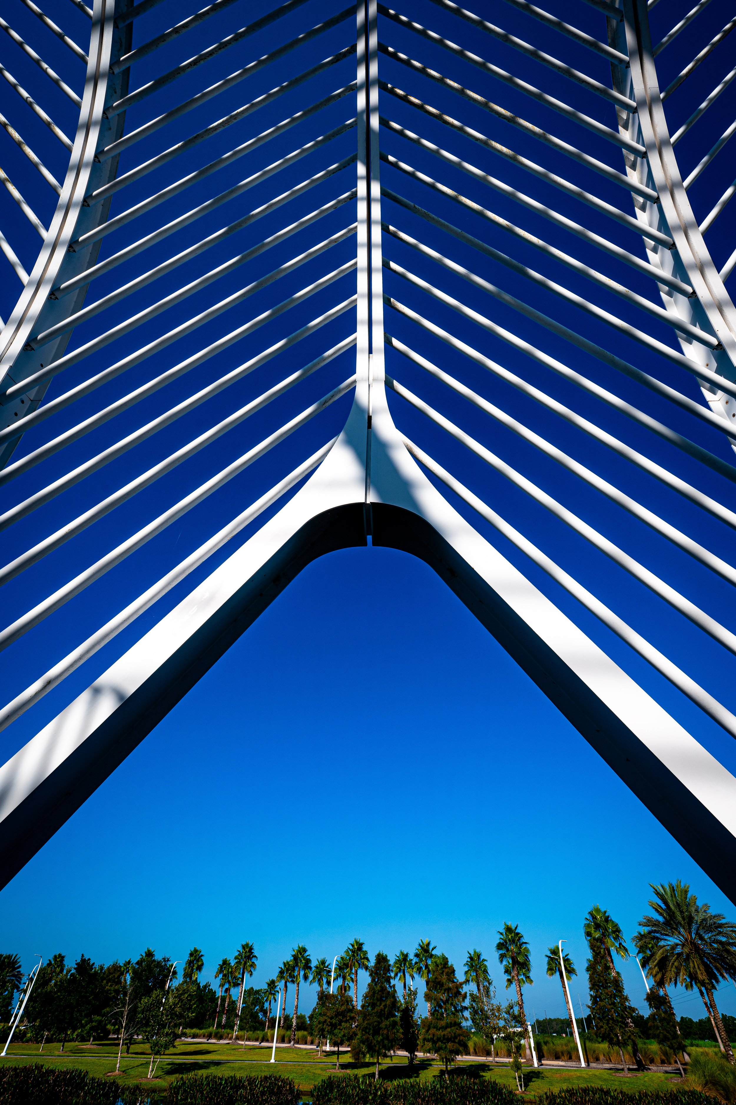 Florida Polytechnic University-16.jpg